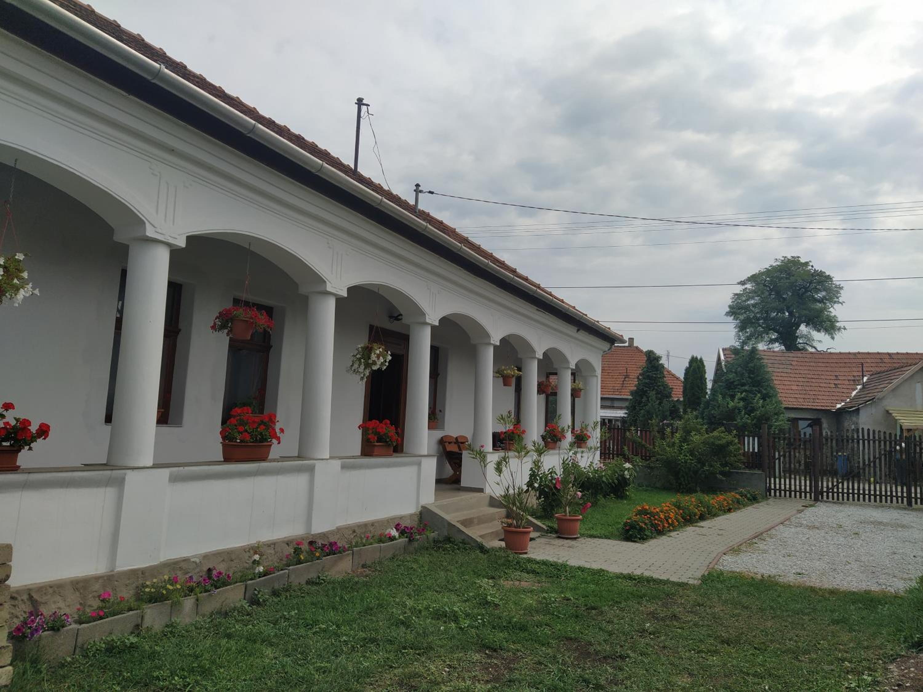 Photo 31