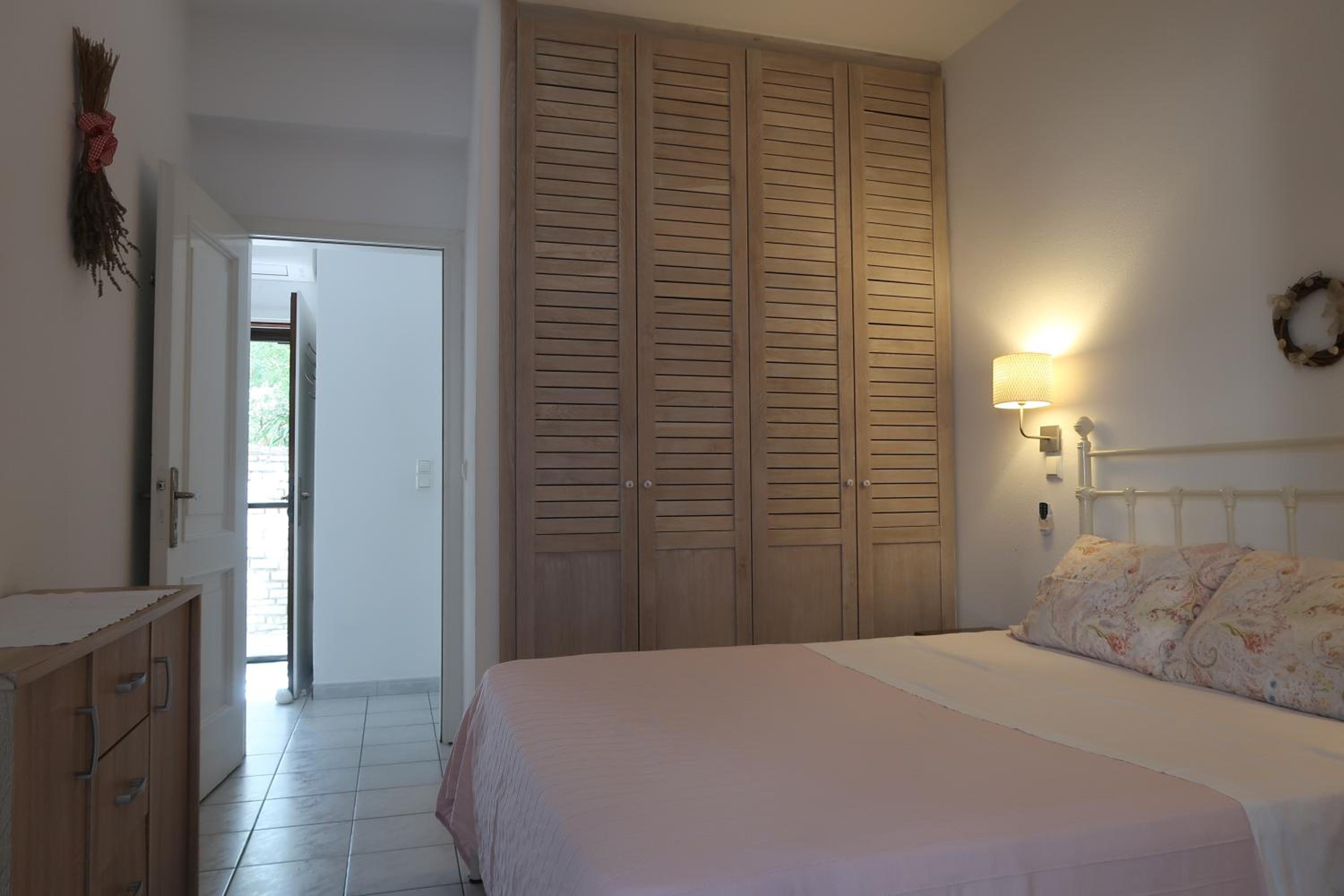 Bougainvillea photo 2