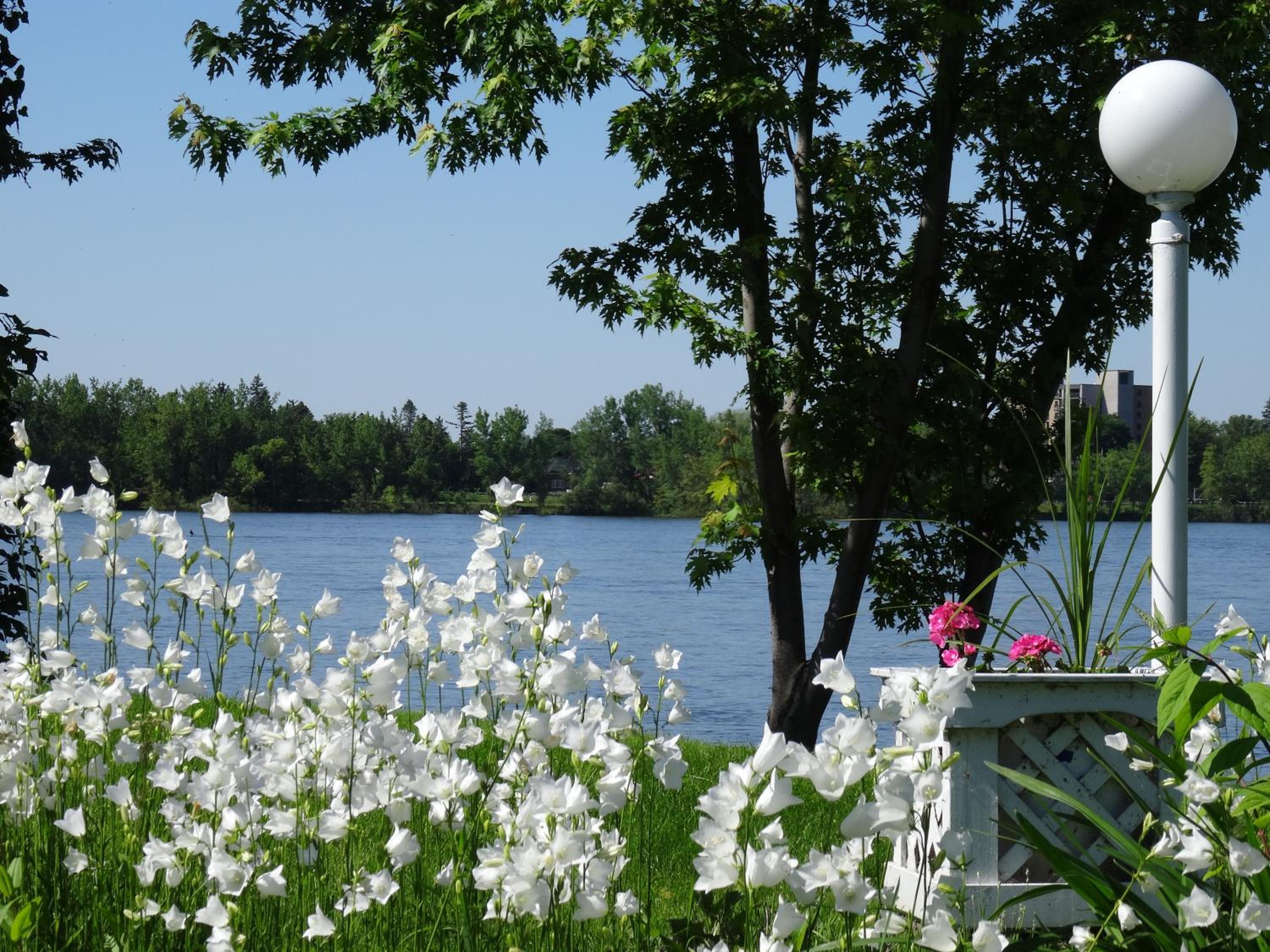 Motel Belle Riviere