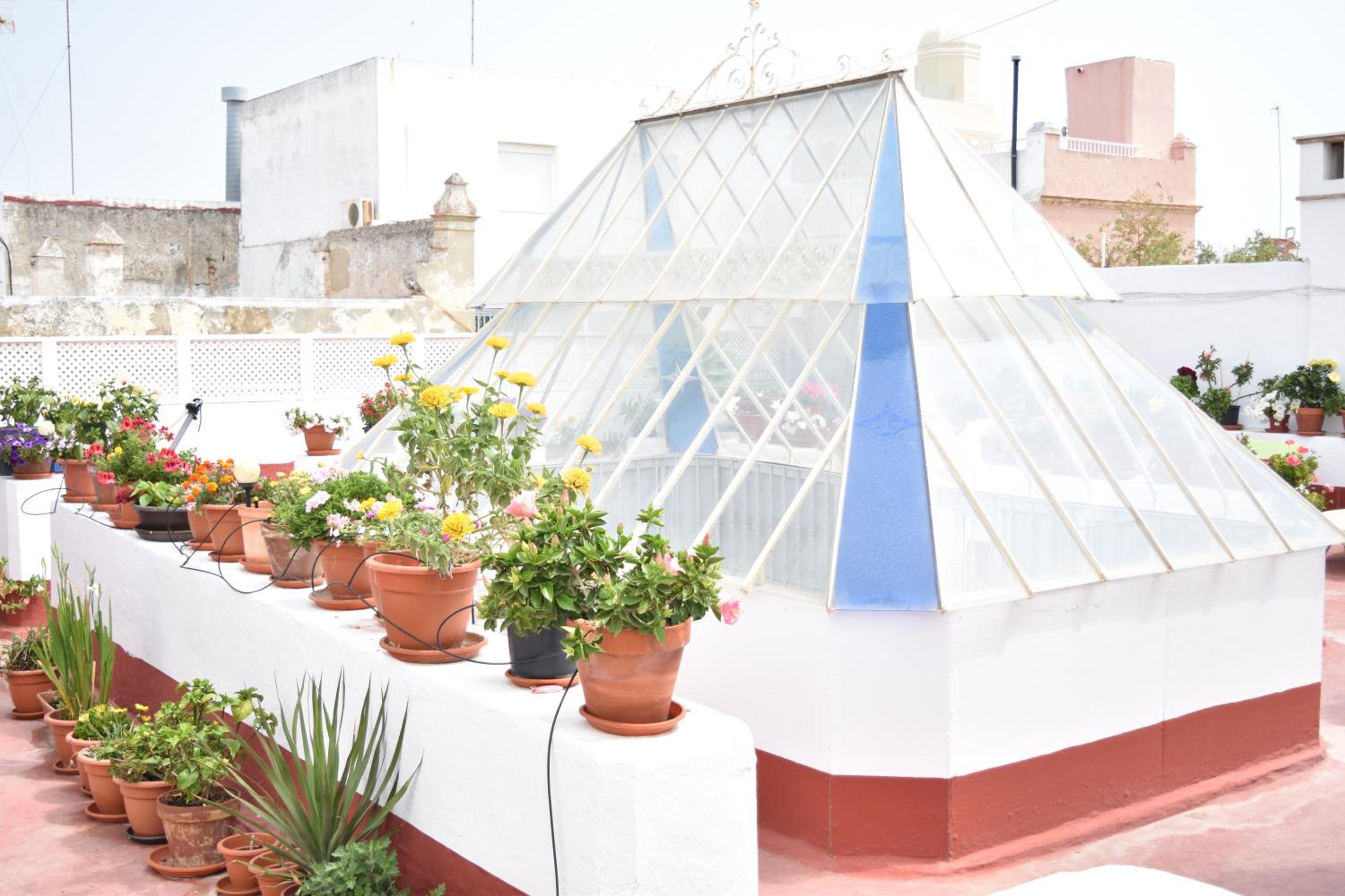 roof