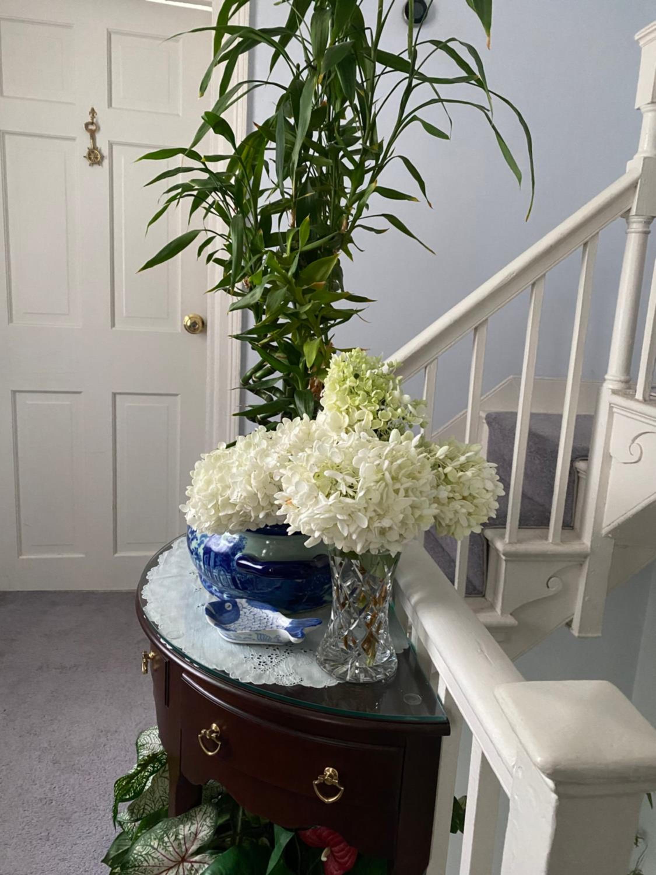 Northey Street House view 5
