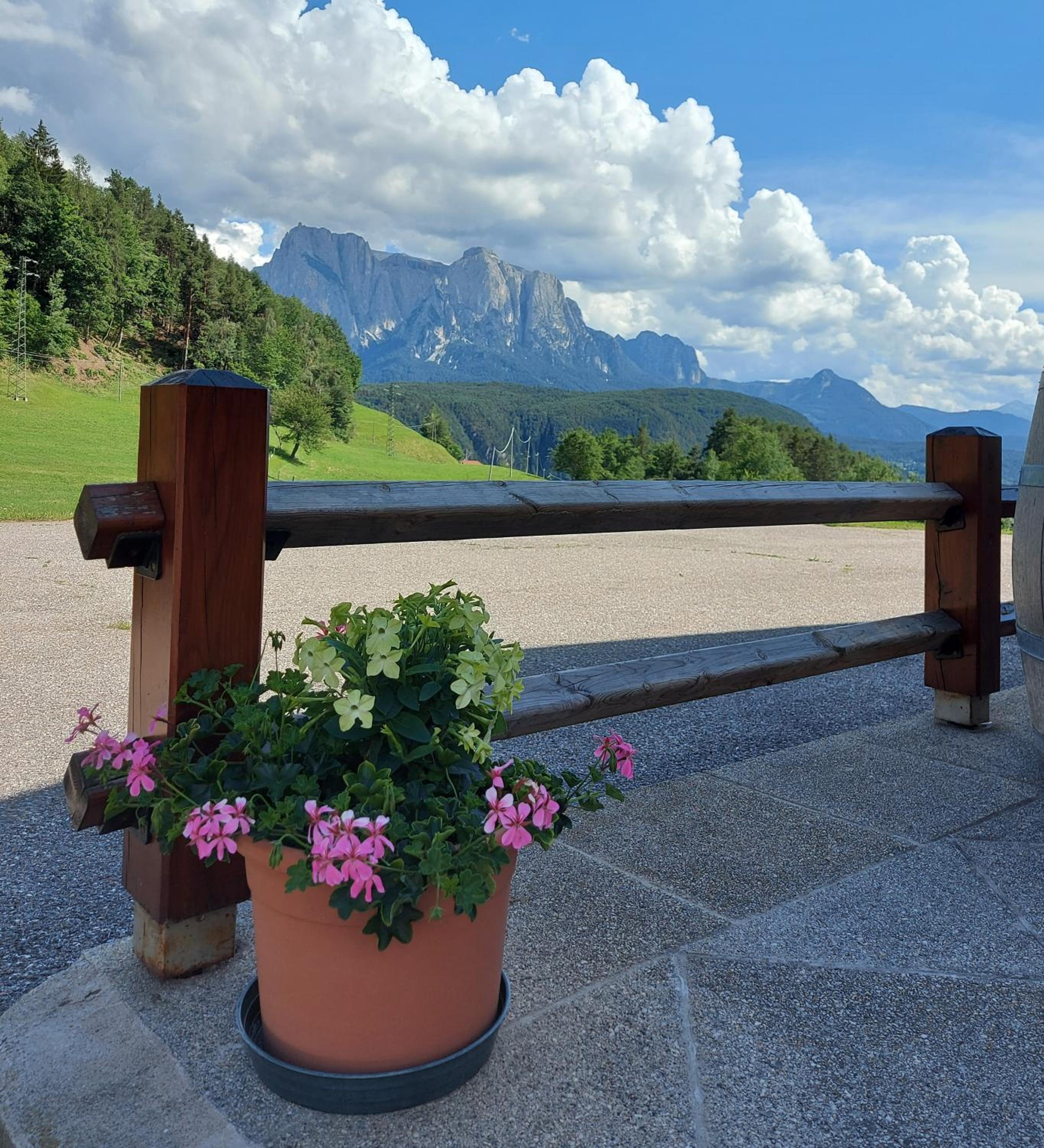 B&B Gasthaus Lieg view 5