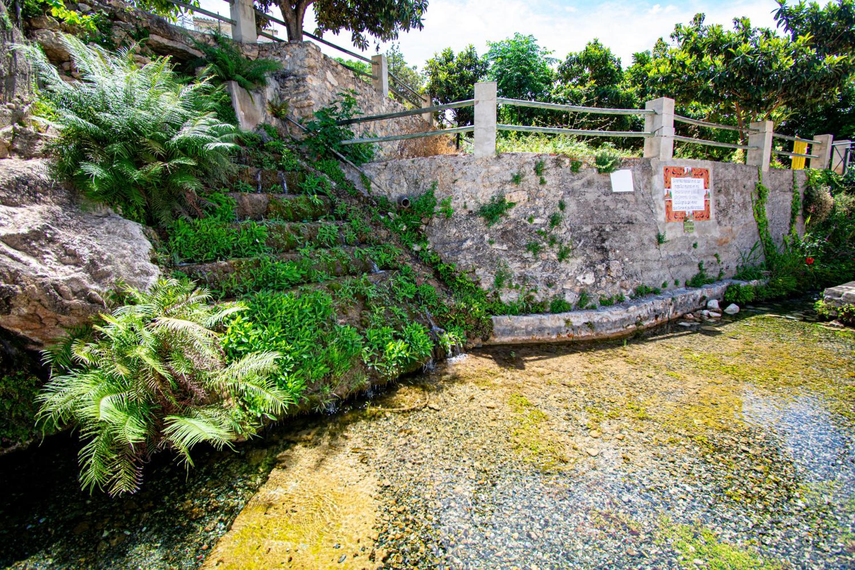 Photo 41