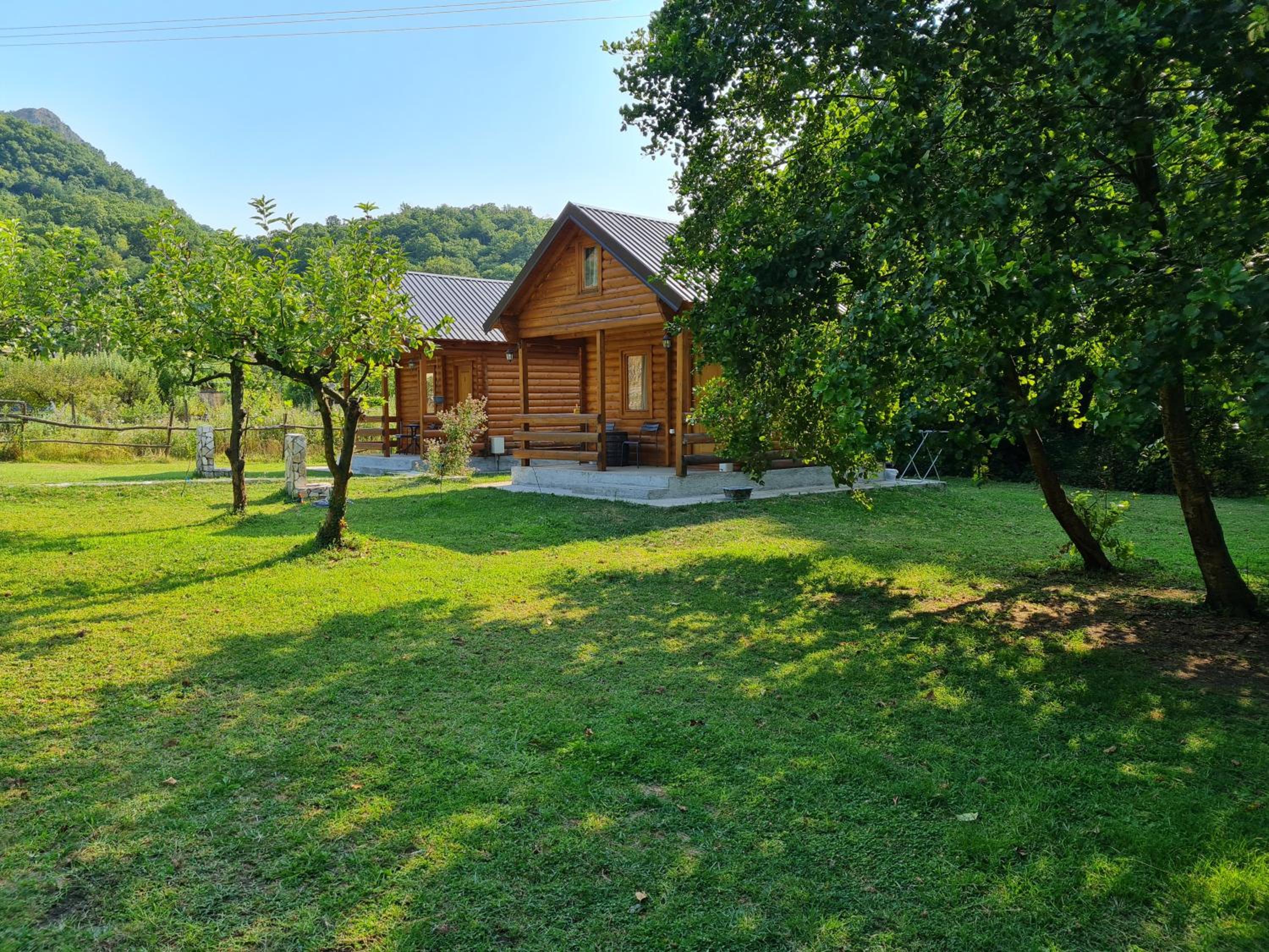 Photo 9