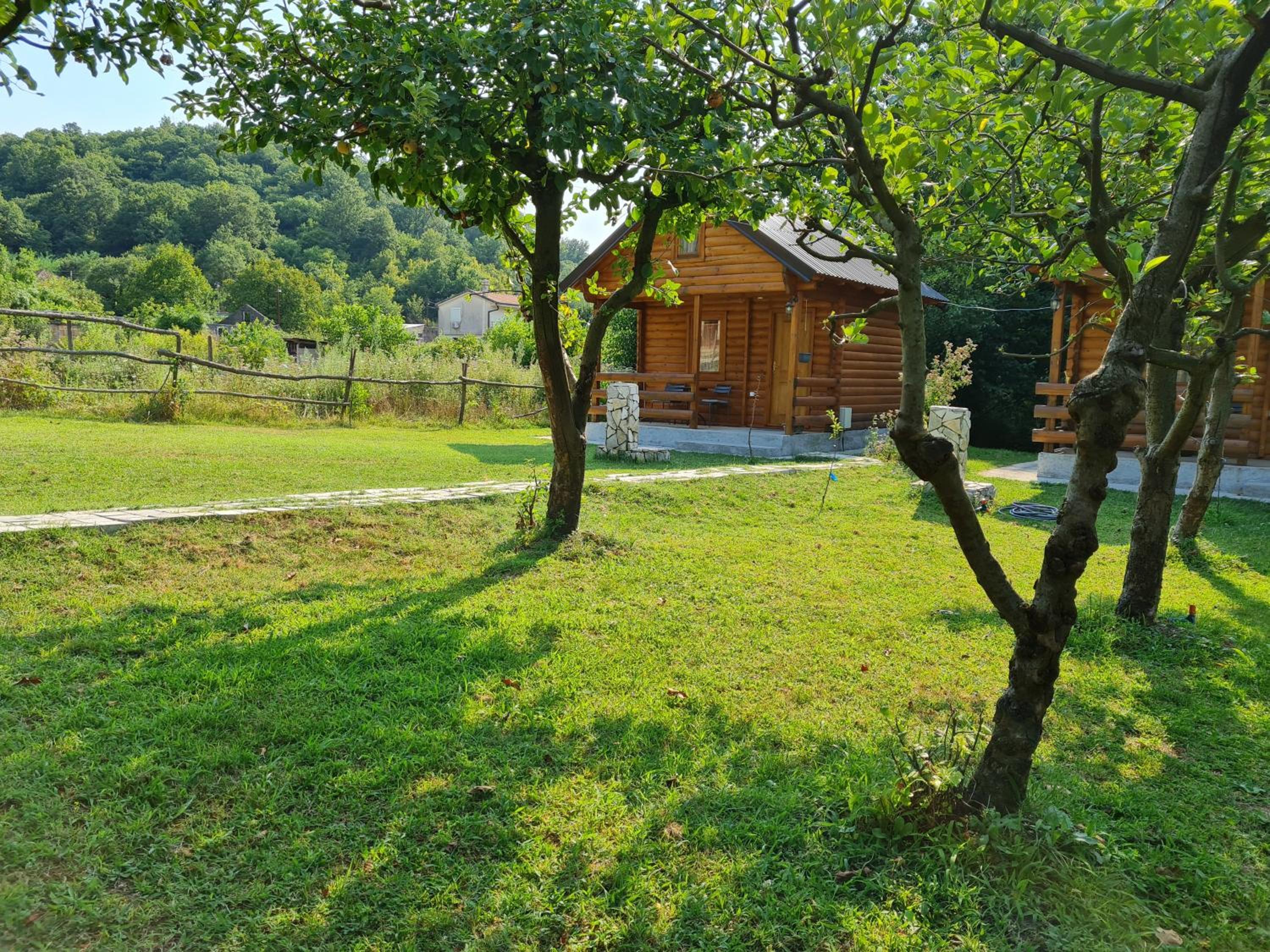 Photo 15