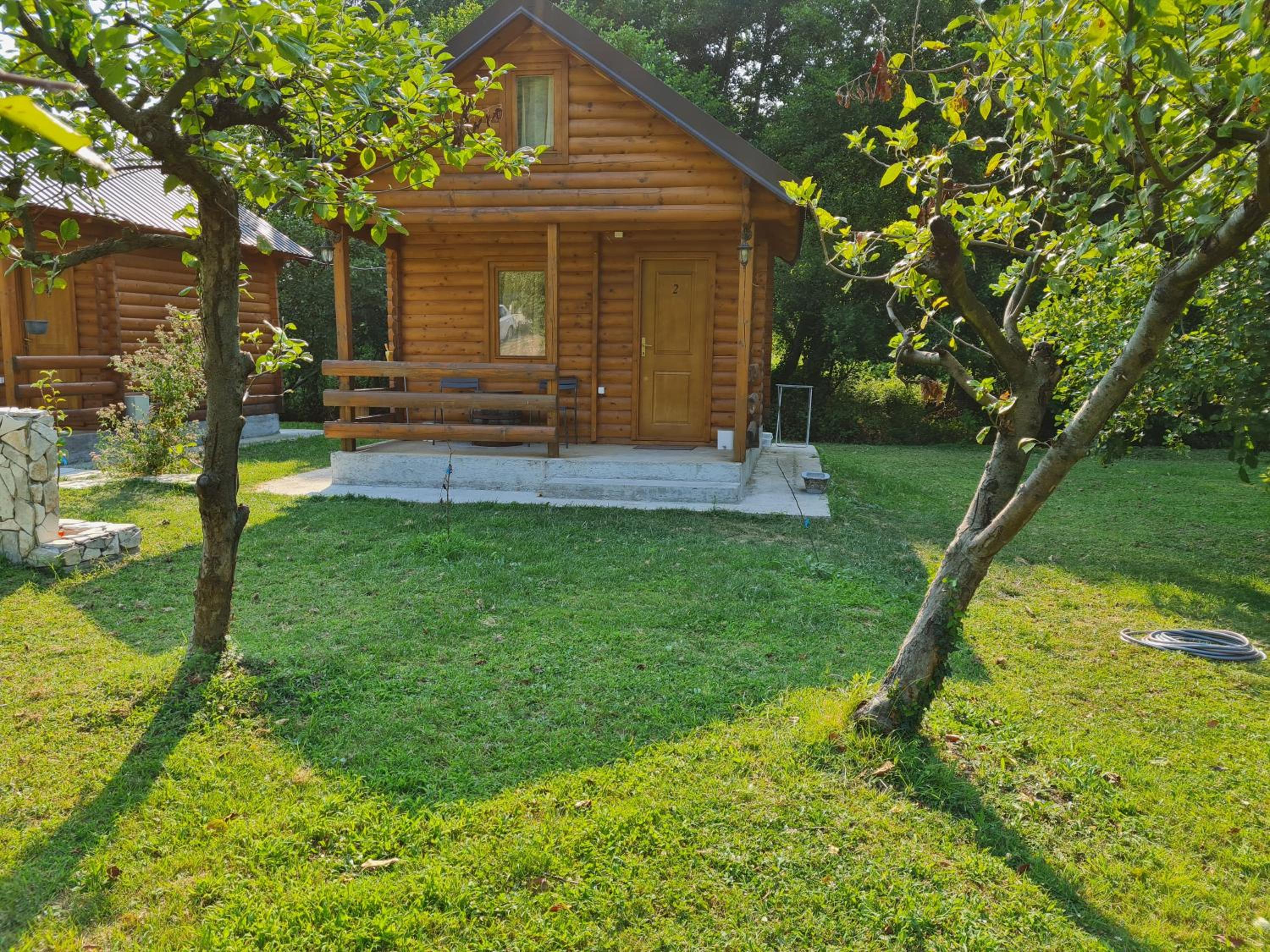 Photo 11