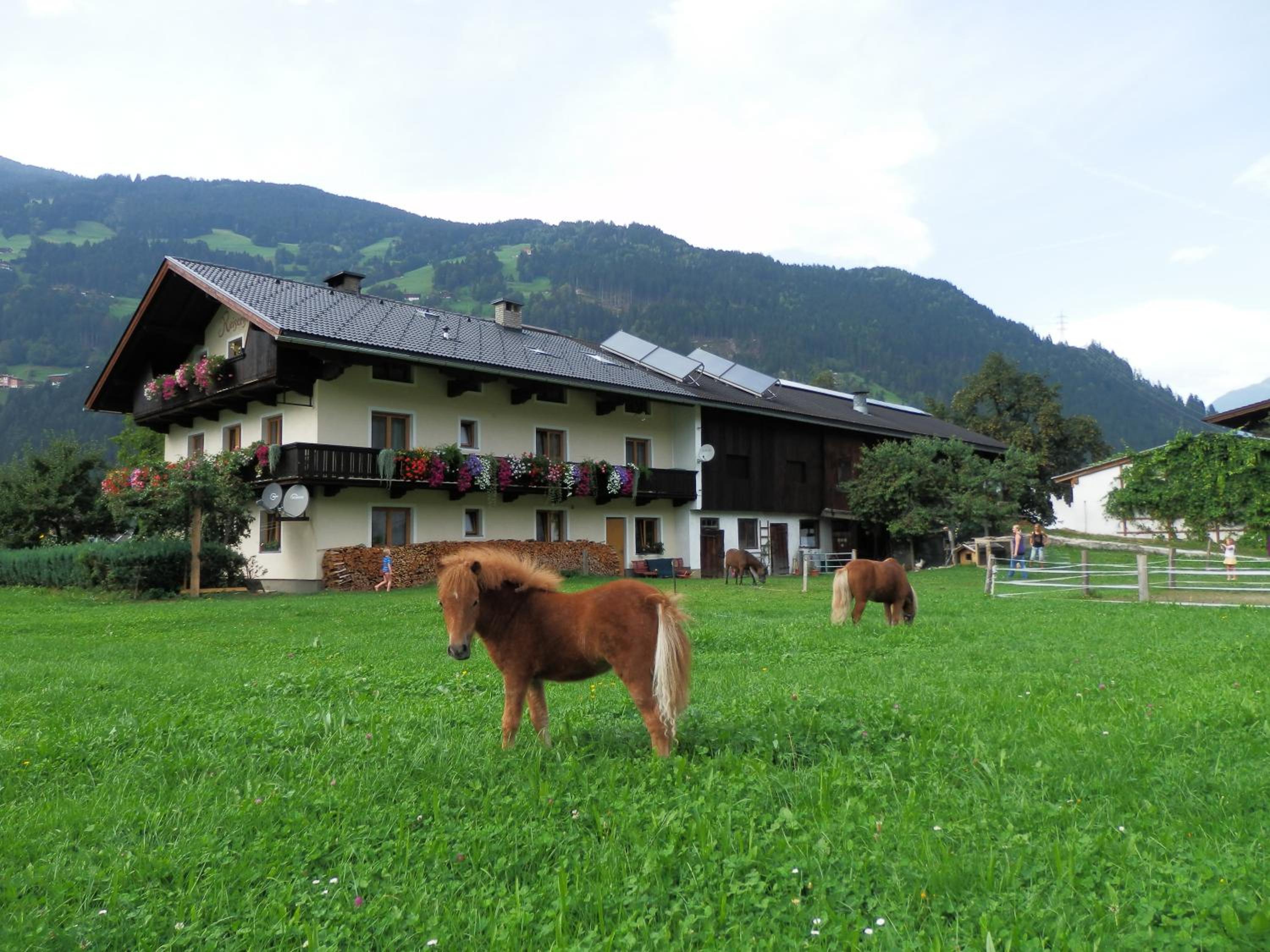 Reiserhof