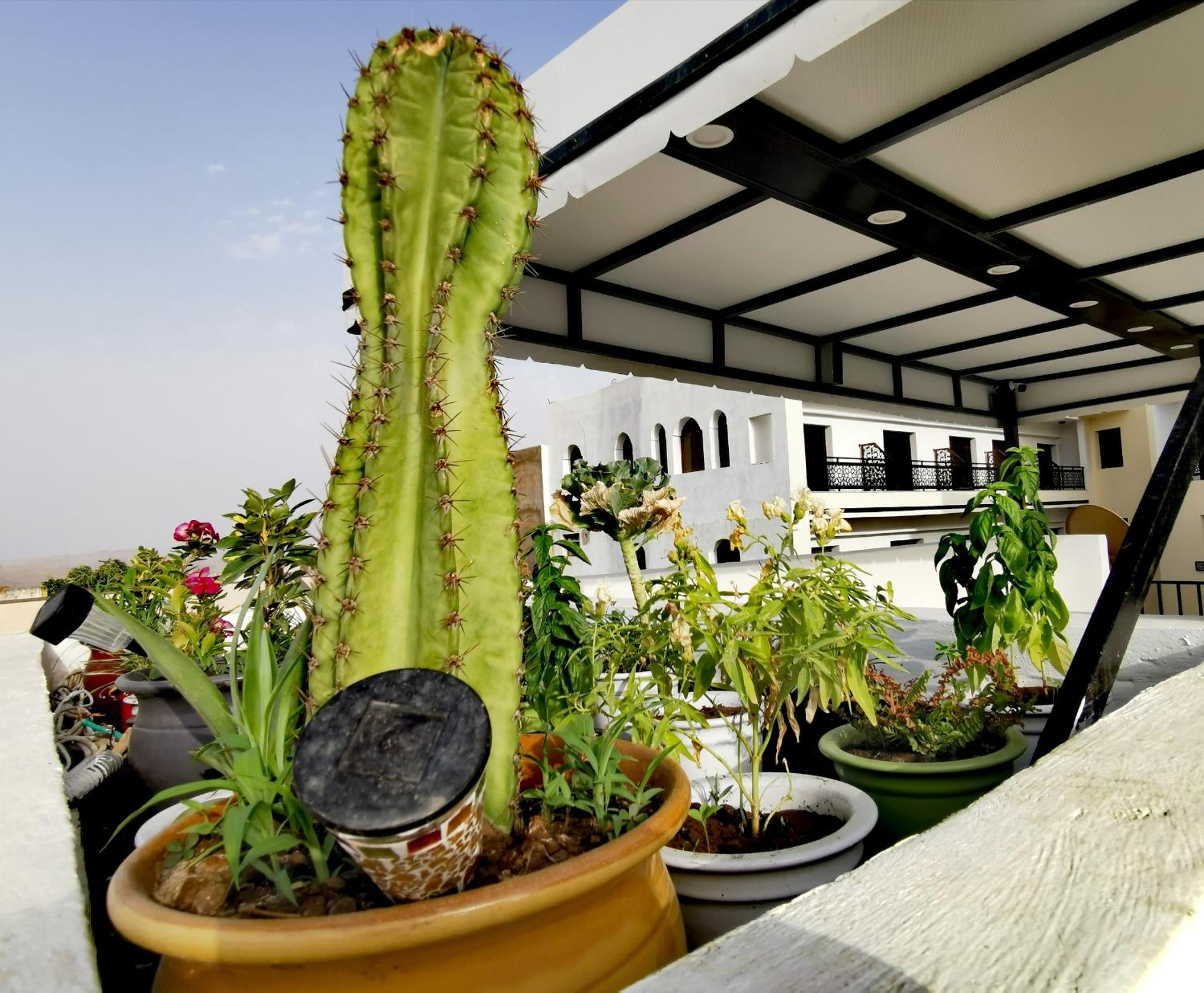 roof