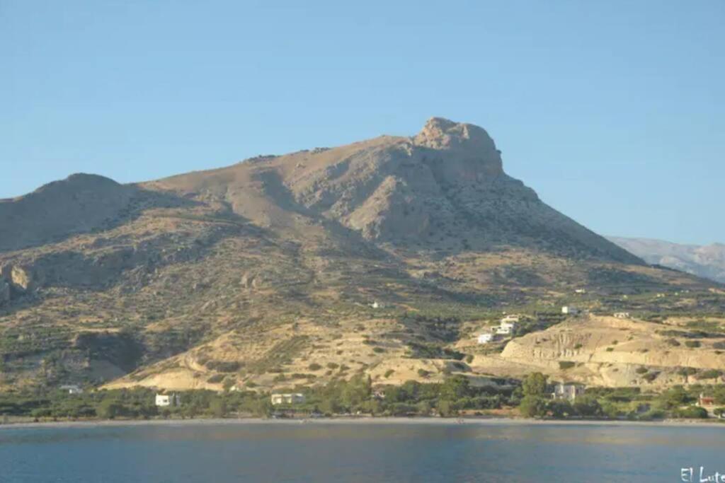 Photo 21