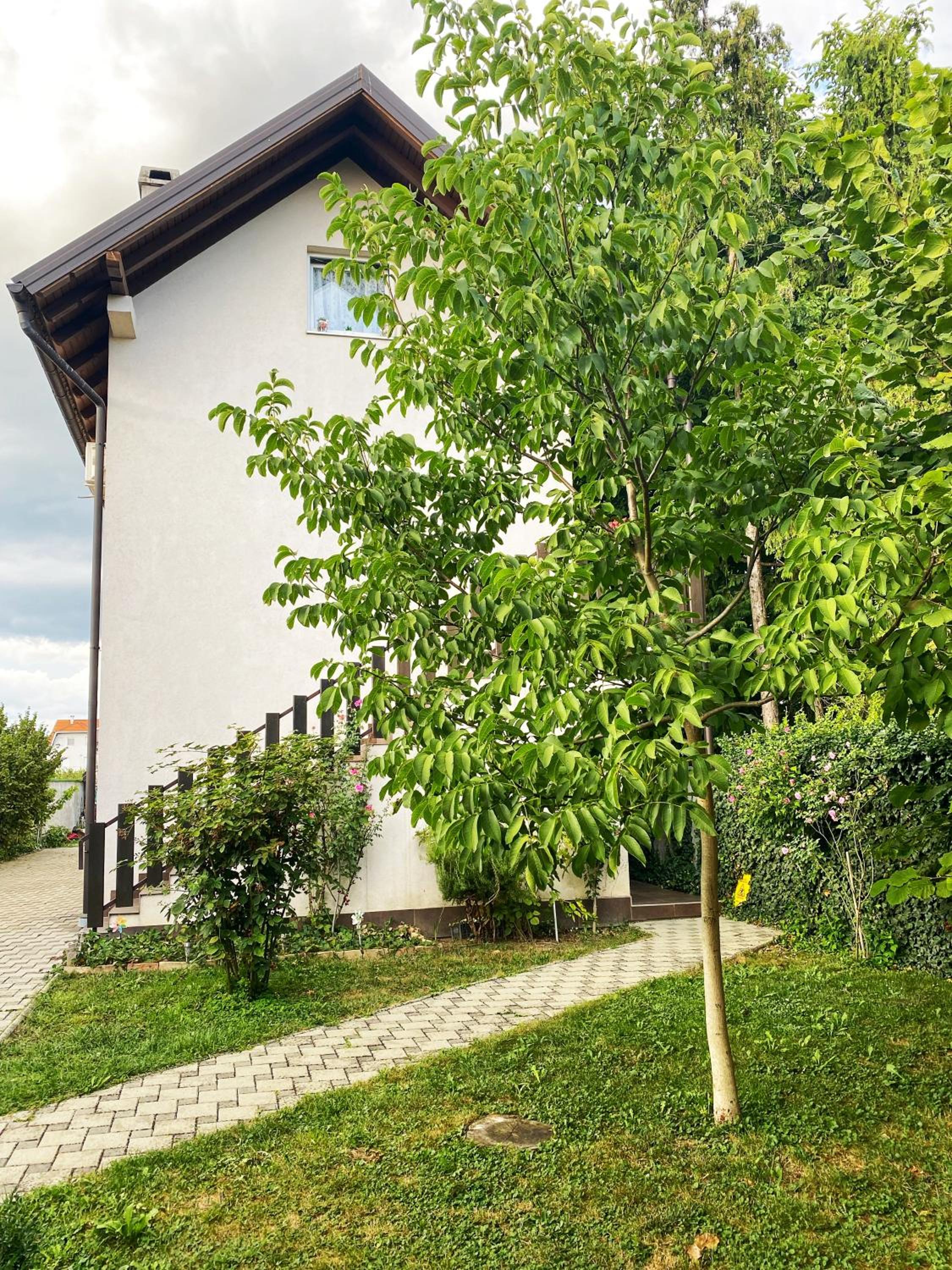 Hotel Guesthouse Stari Jasen
