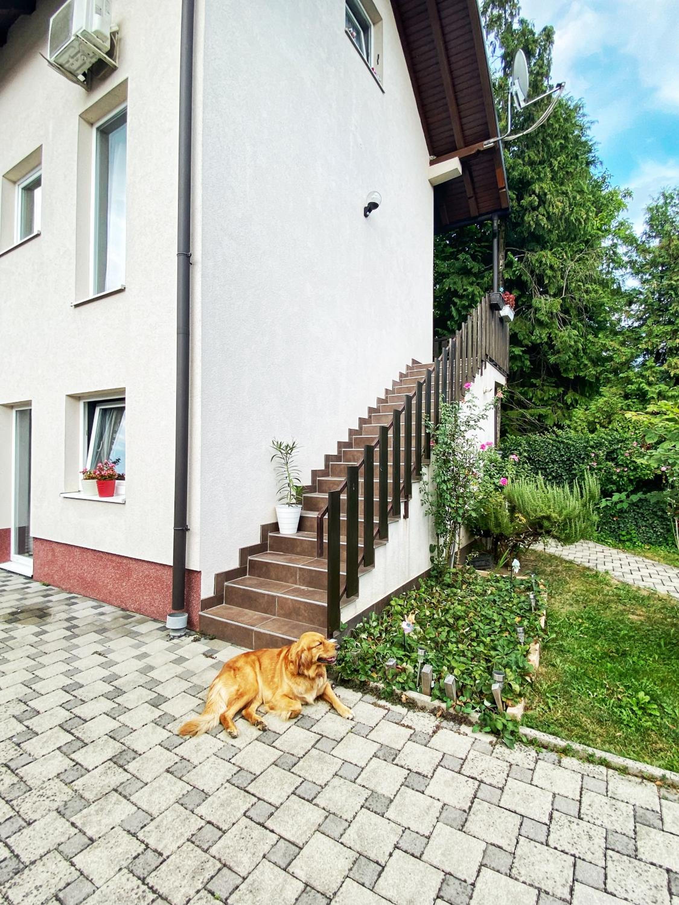 Hotel Guesthouse Stari Jasen