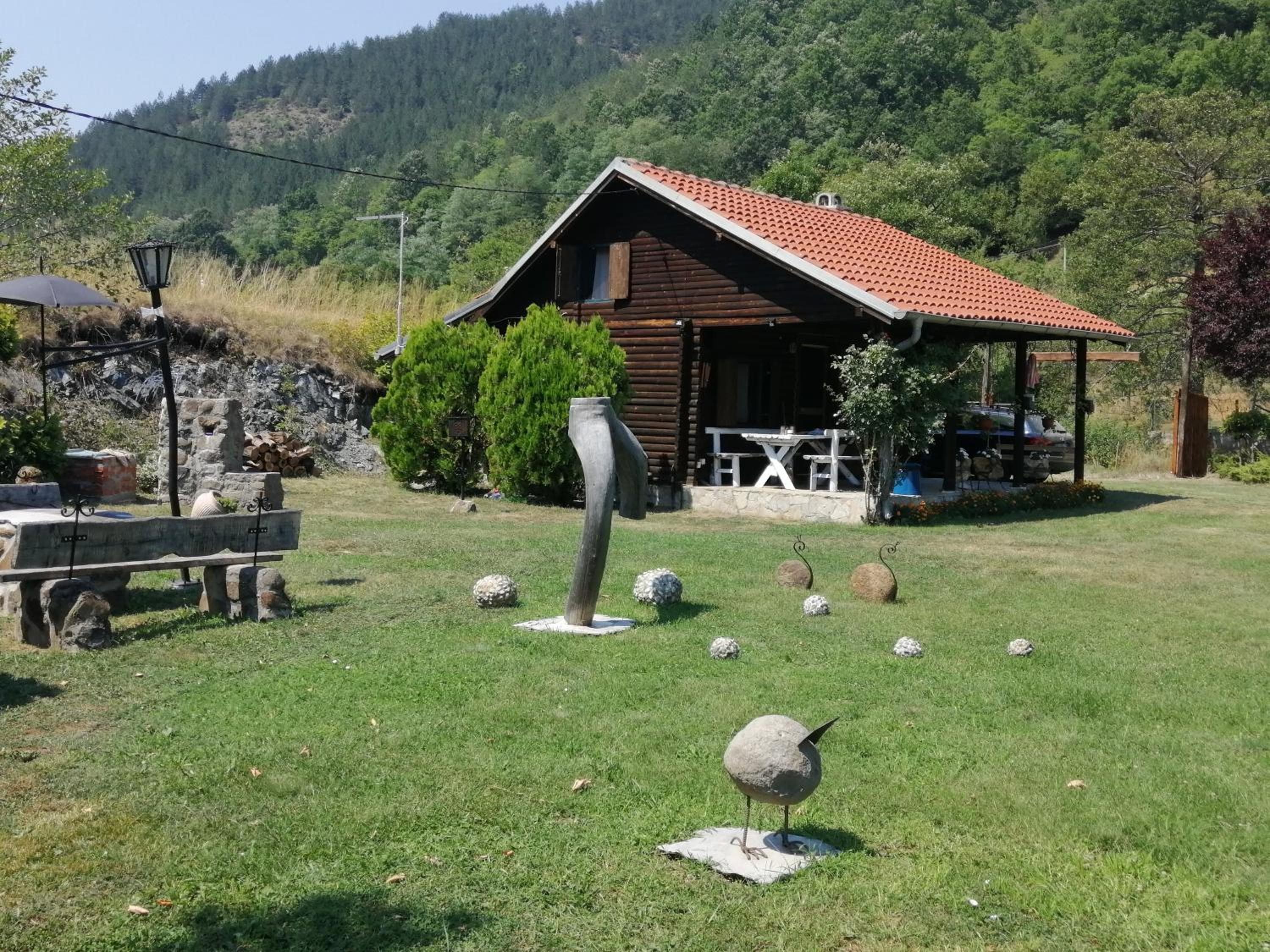 Photo 6