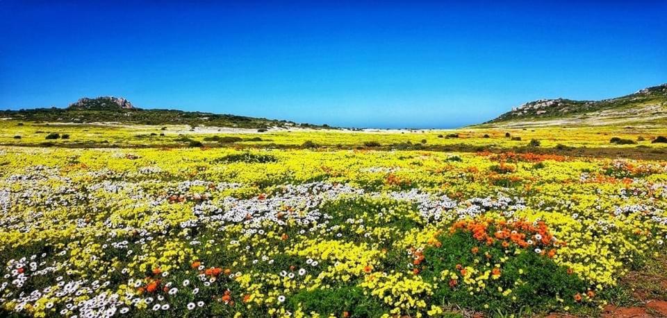 Langebaan Golf Studio A1 - Langebaan Golf Estate view 4