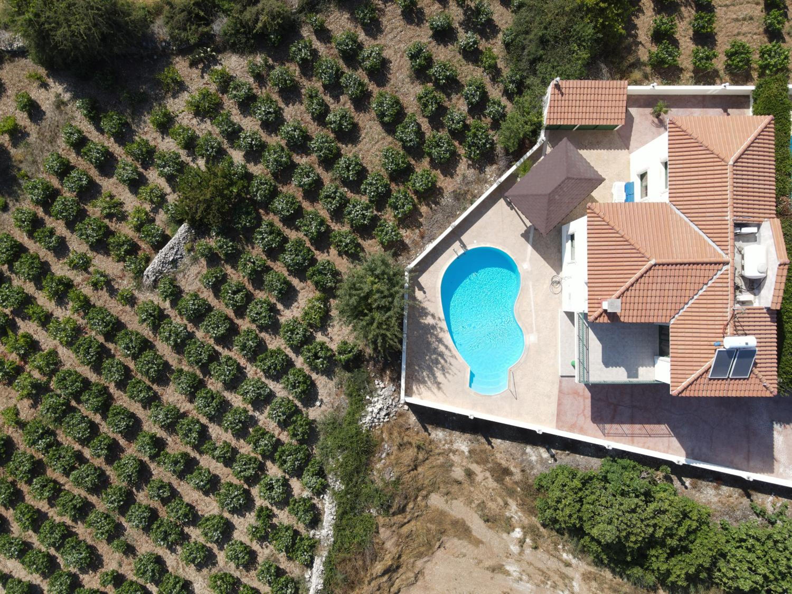 VILLA FROSO