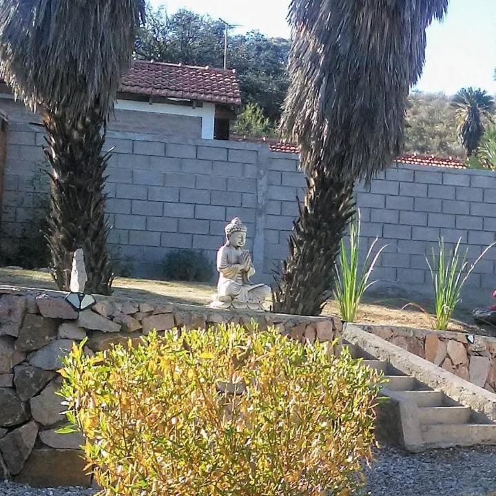 Palmares al cerro