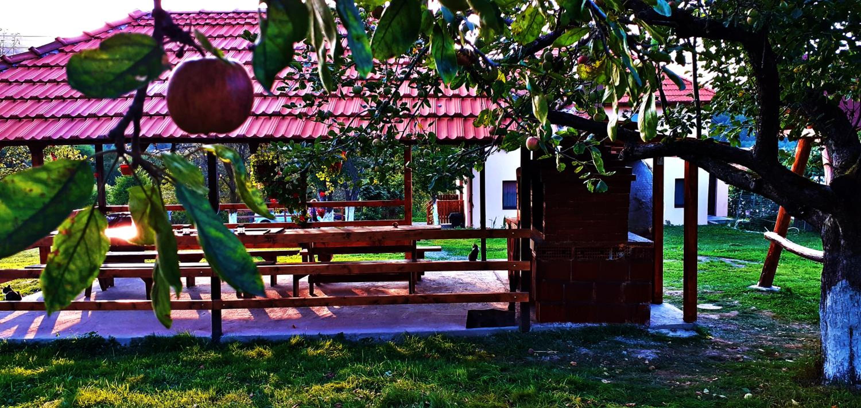 Photo 47