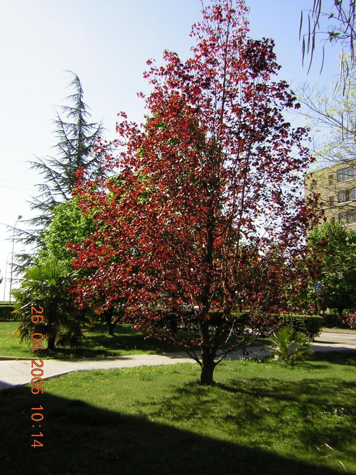 Photo 12