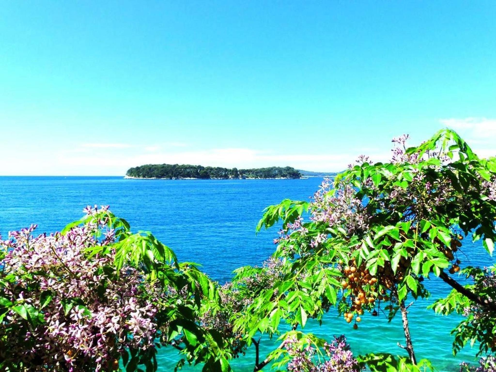 Sea of Eden
