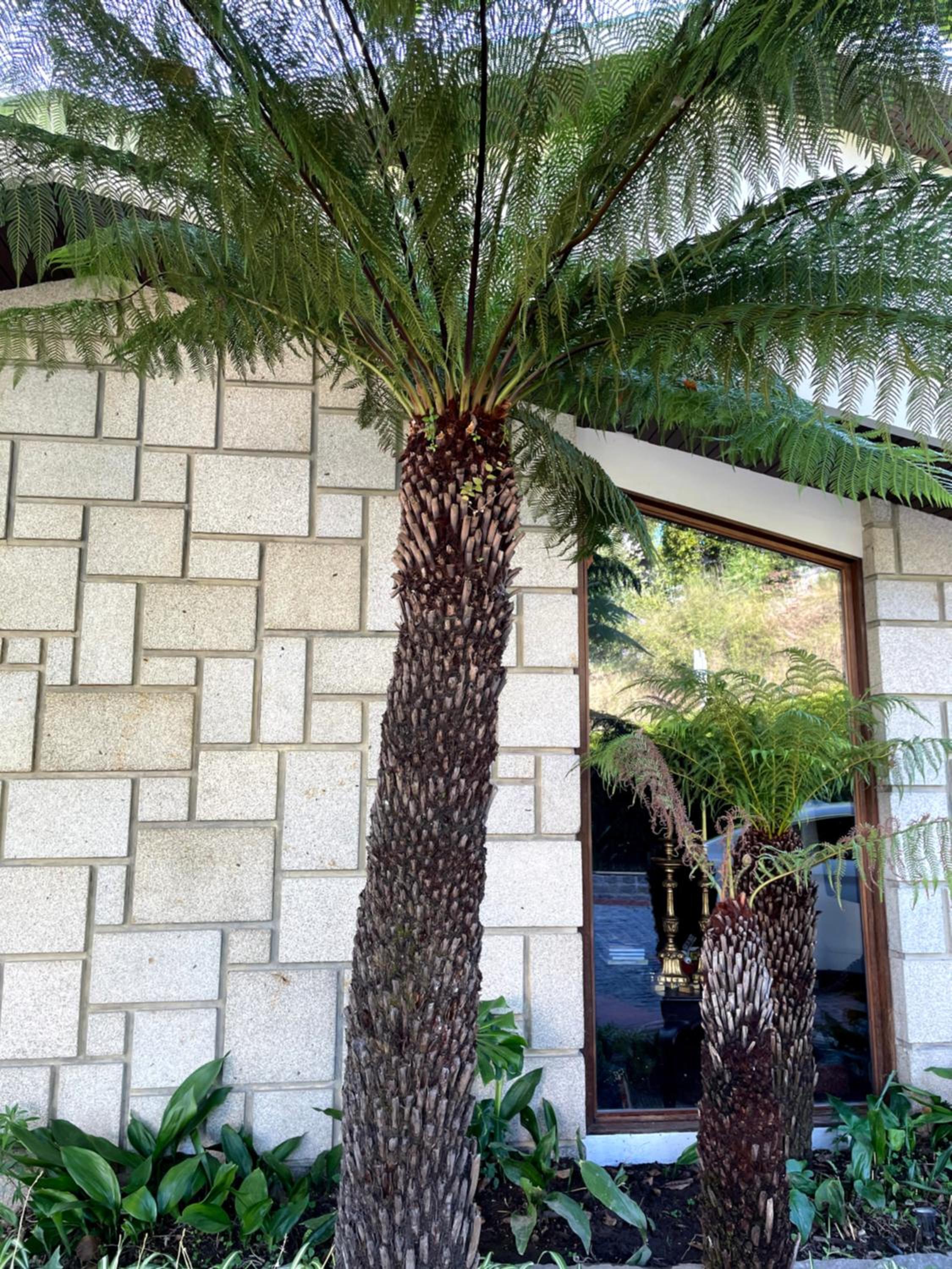 Santiago Family House - Luxury Guest House view 4