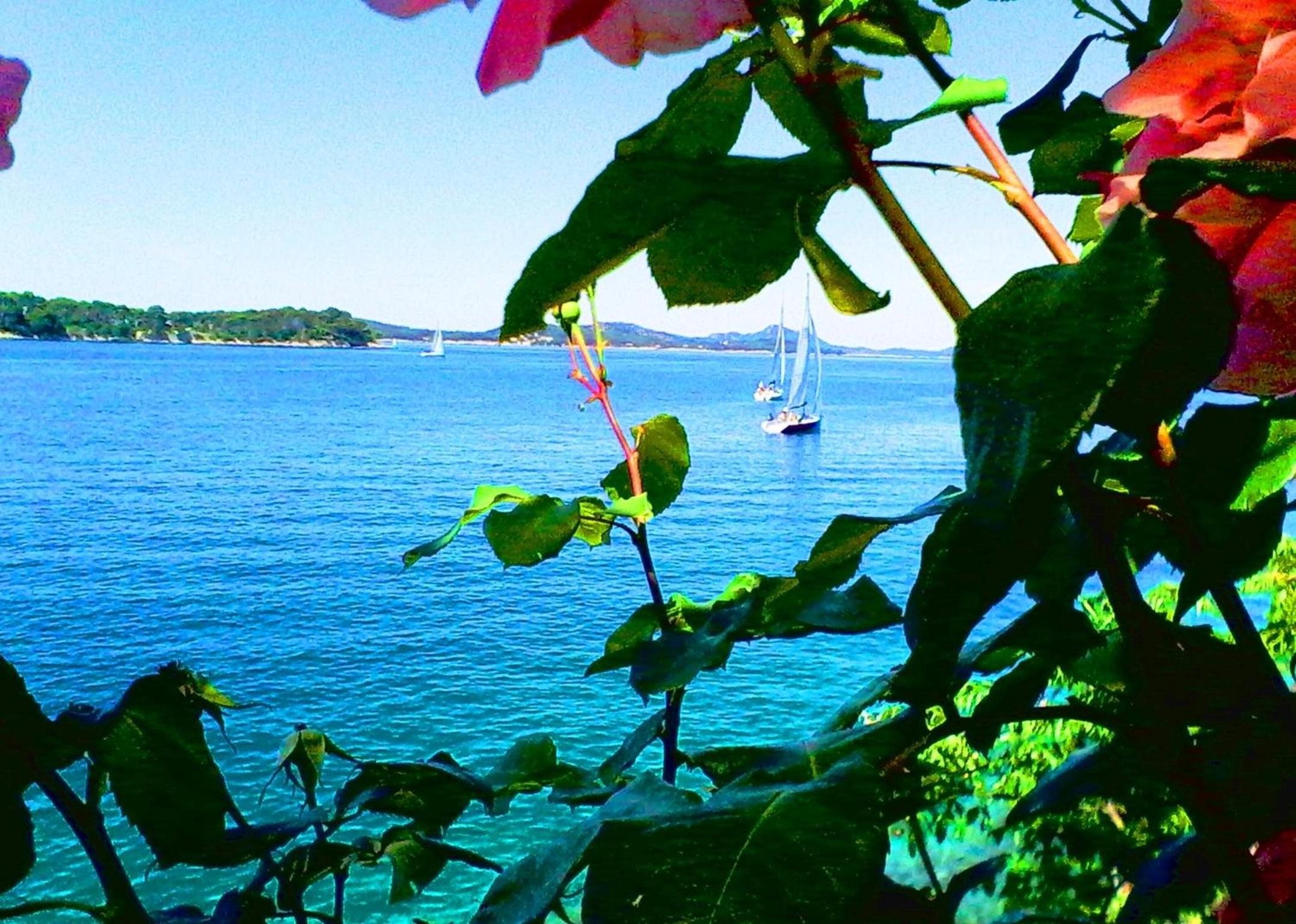 Sea of Eden