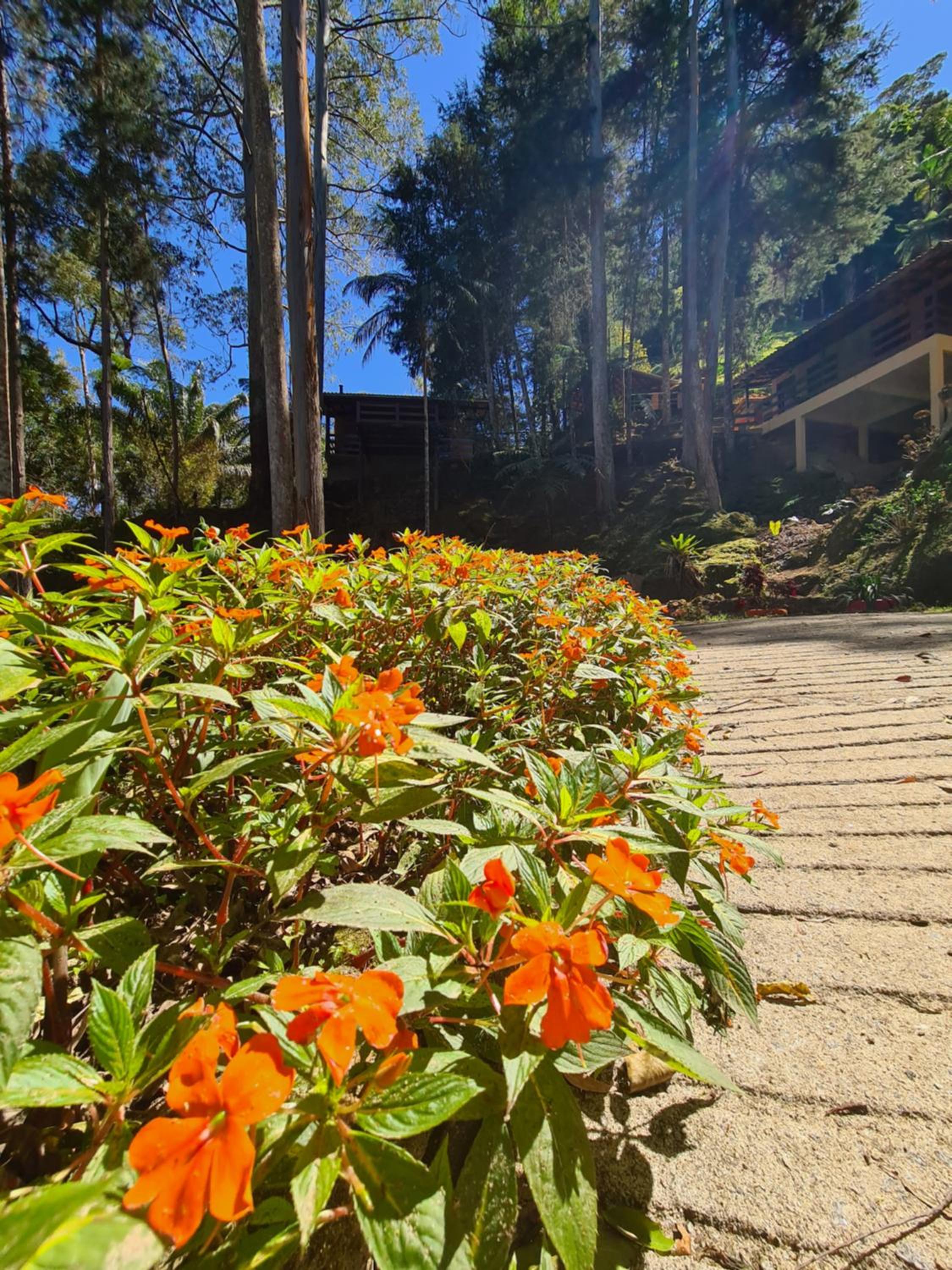 Recanto dos Sonhos Guest House