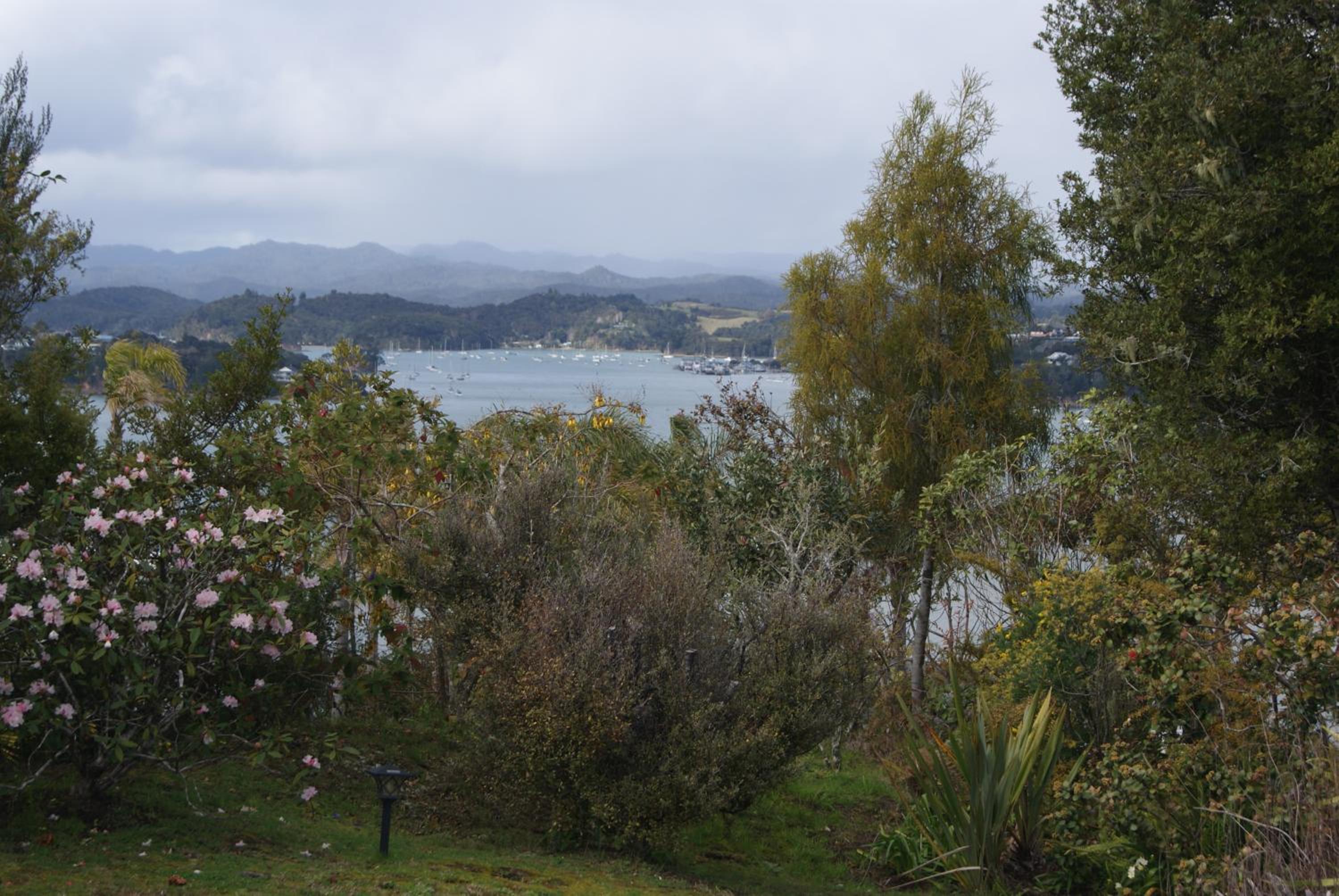 Hyview view 2