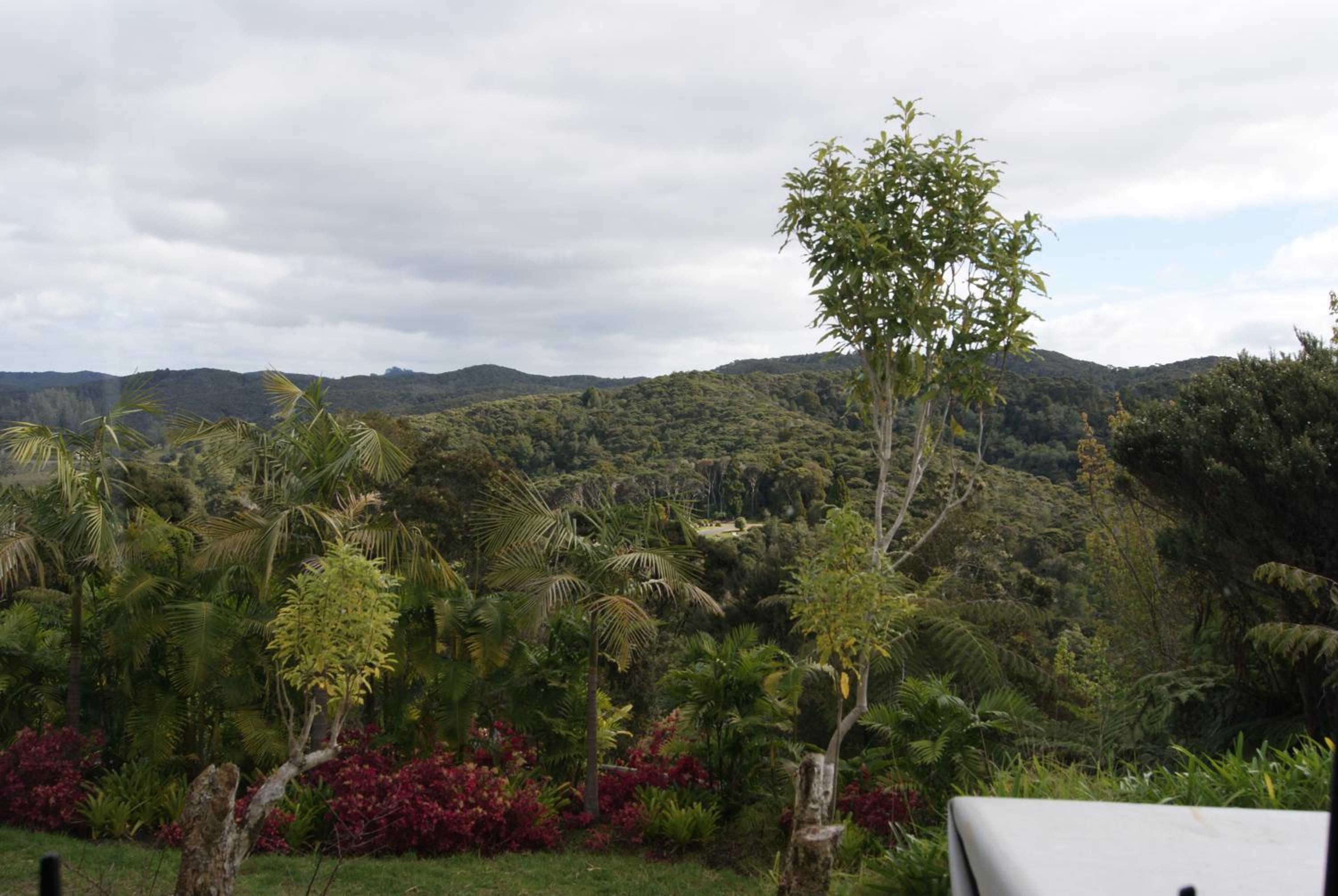 Hyview view 5