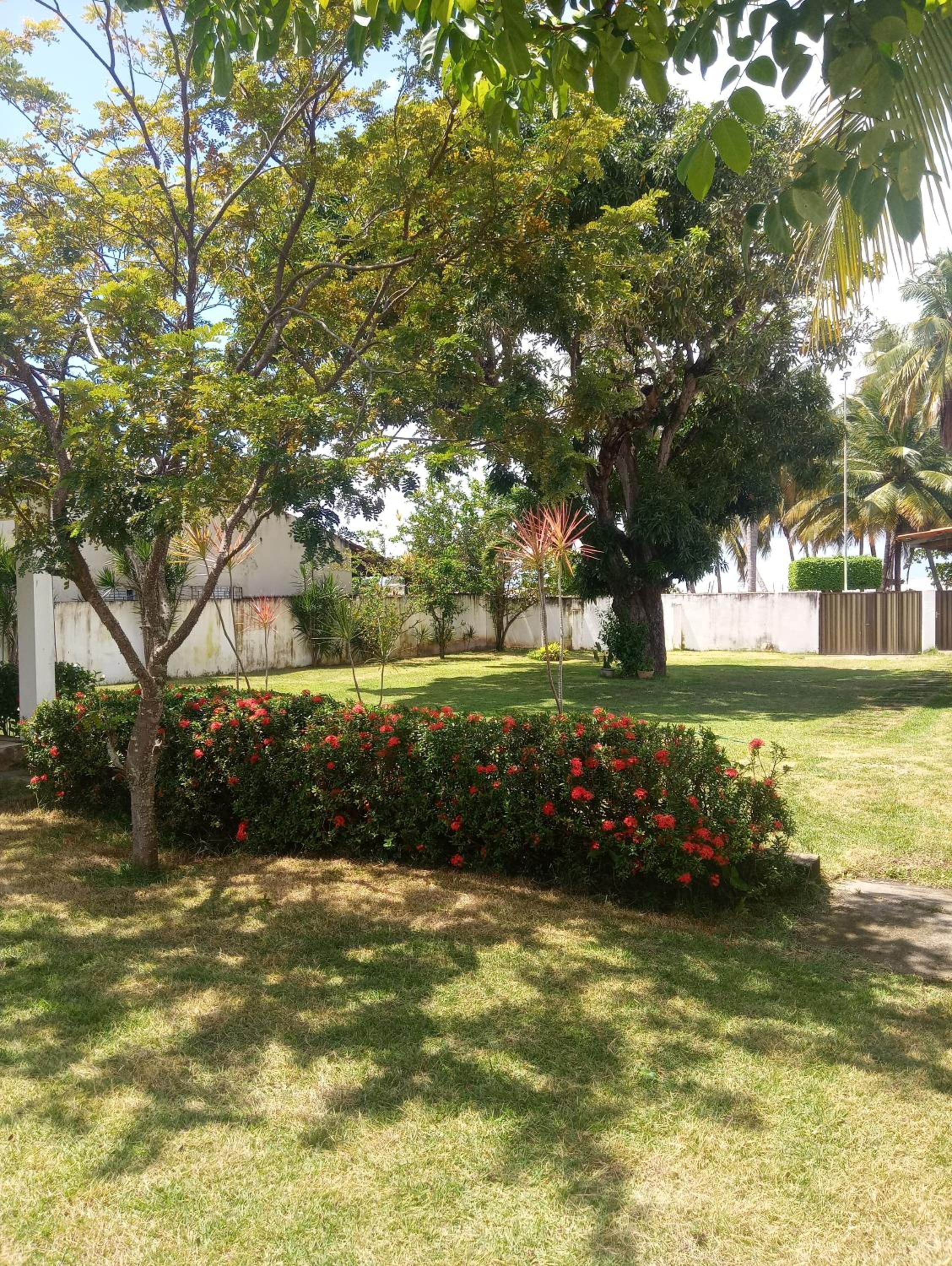 Casa Porto de Pedras_Patacho_Milagres