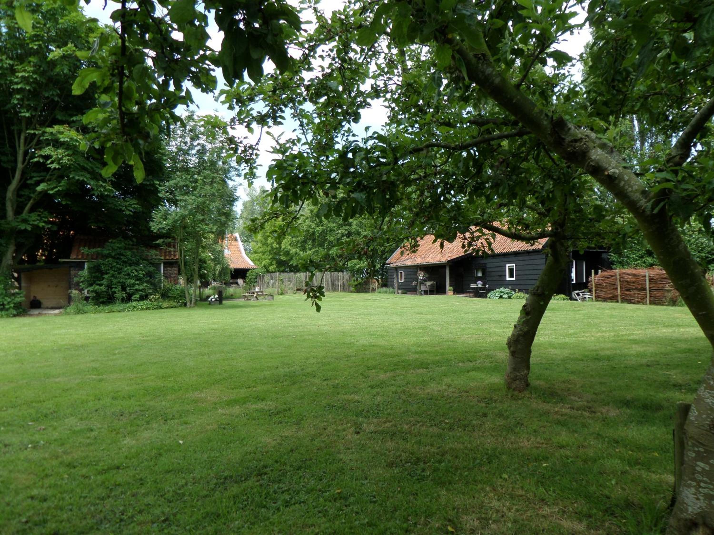 Photo 12