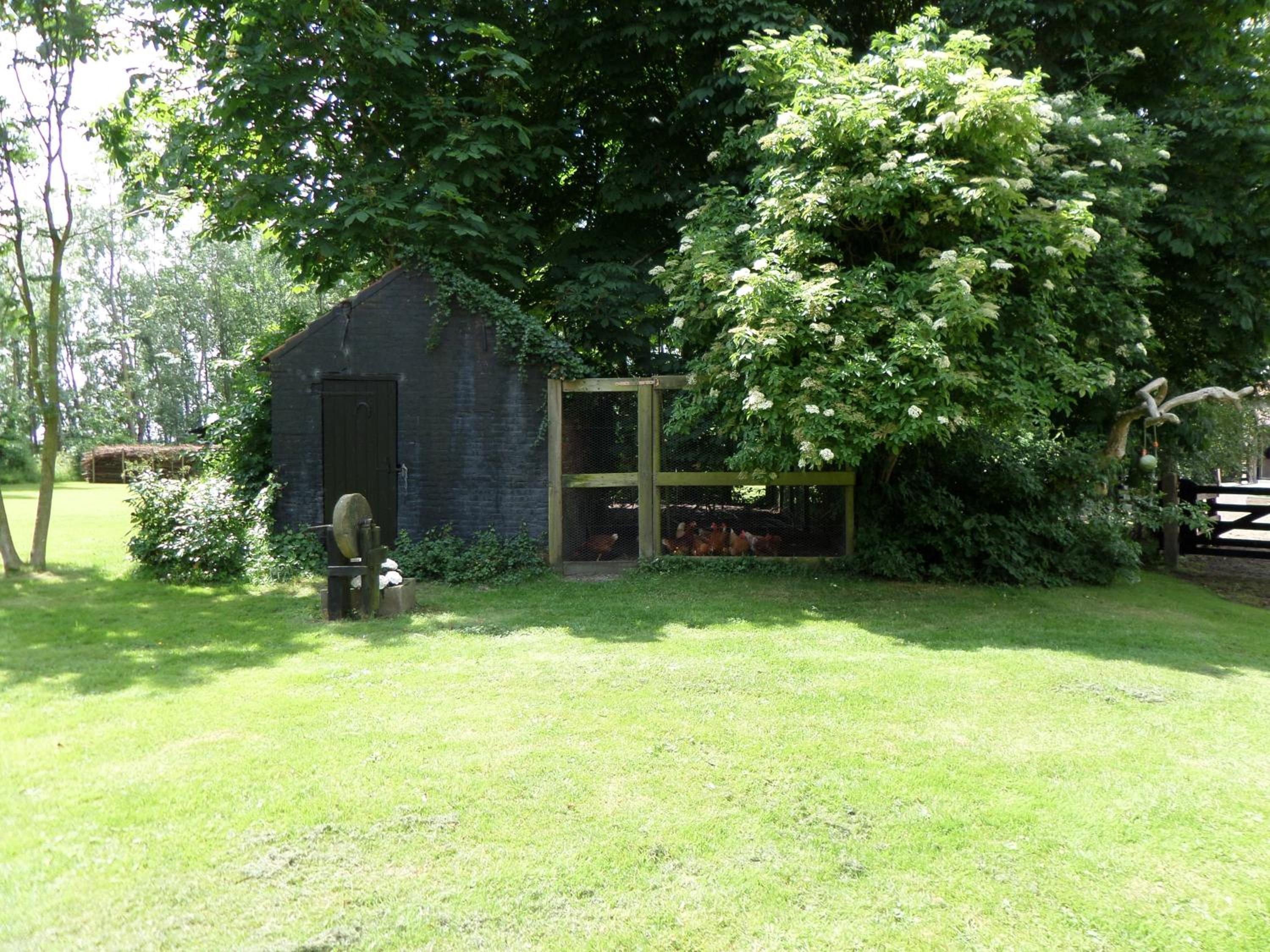 Photo 9