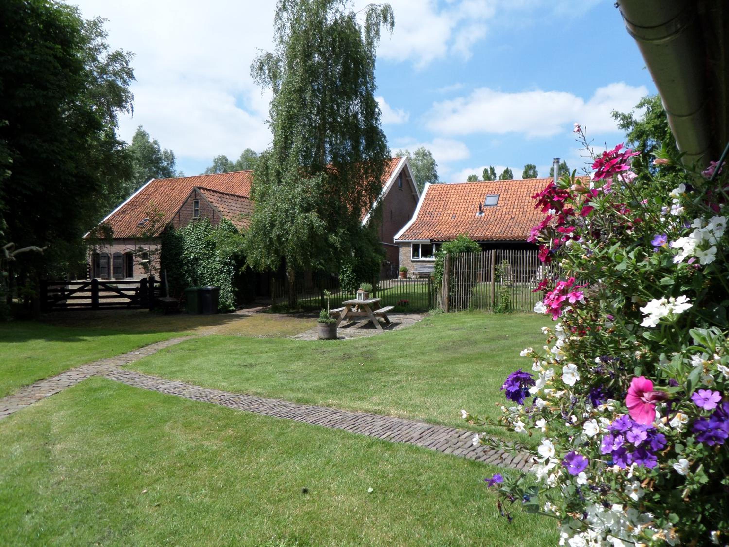 Photo 7