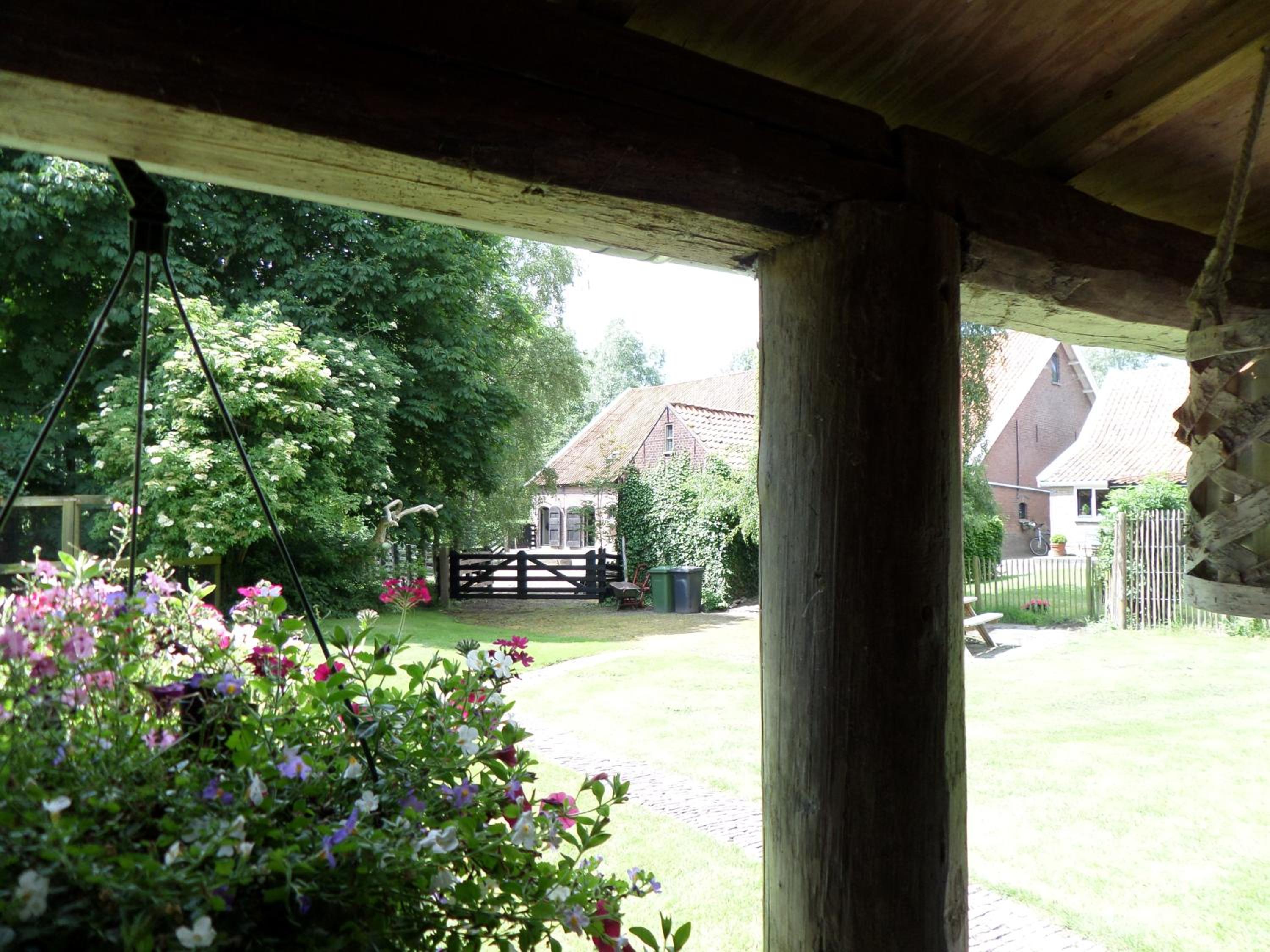 Photo 15