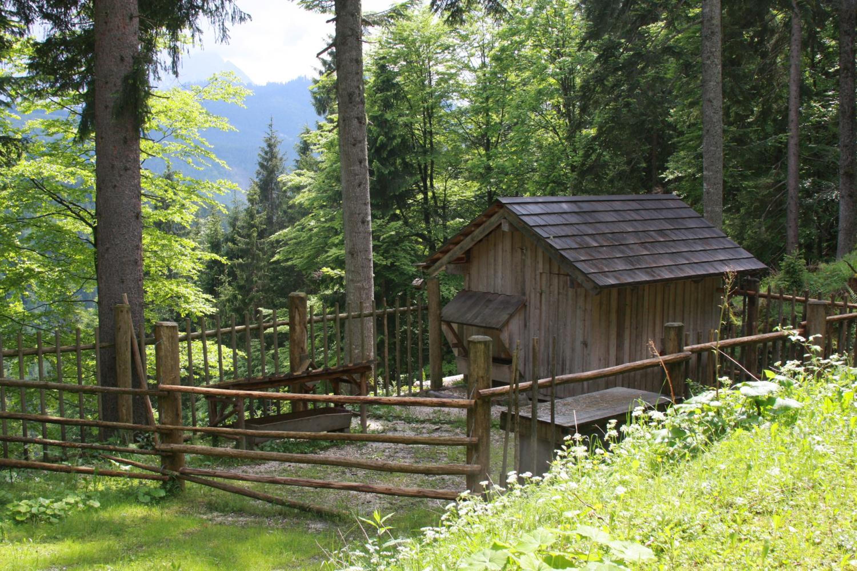 Haus Salzkammergut