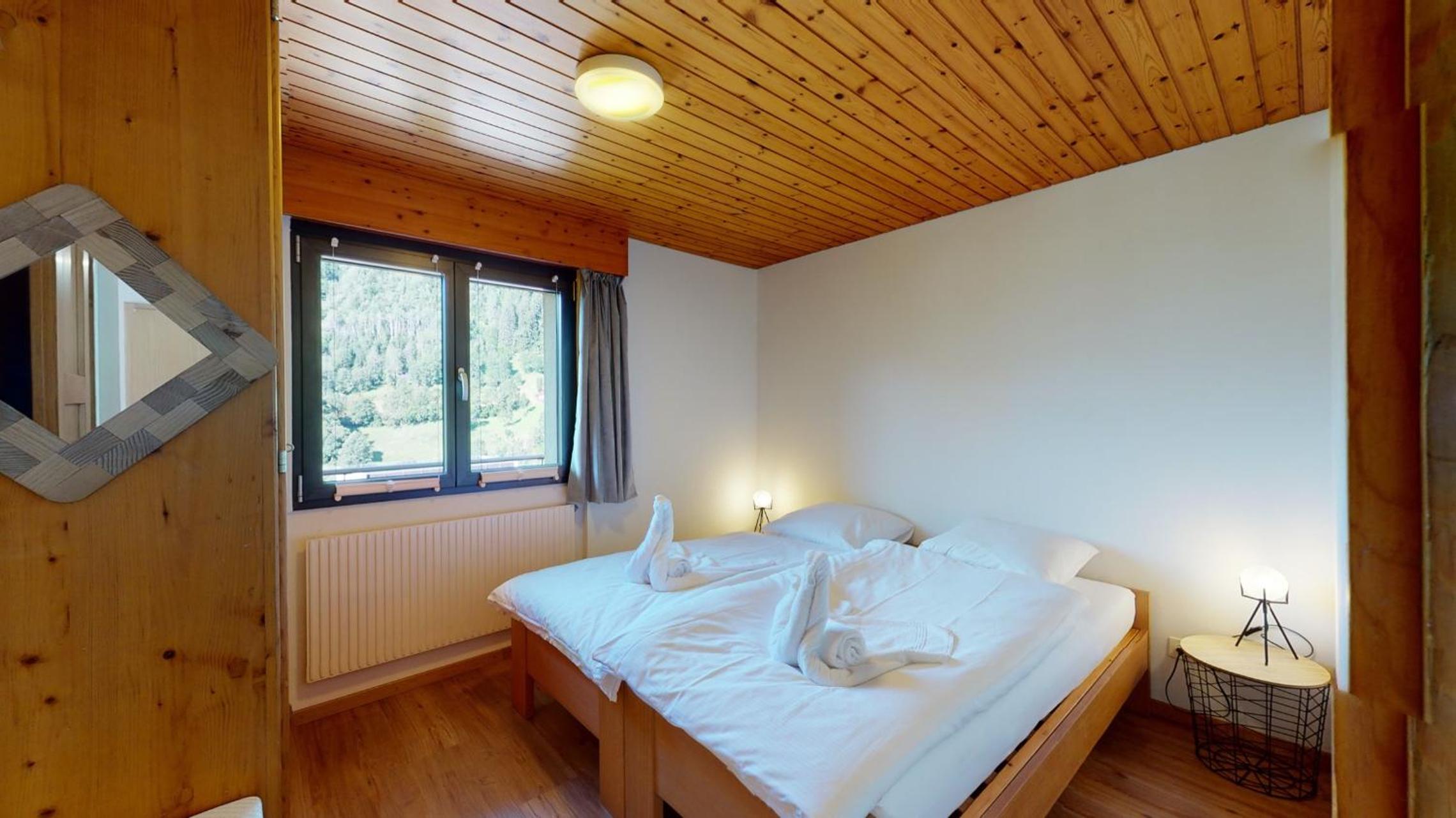 Aletsch Arena - modern and bright 2 bedroom apartment view 3