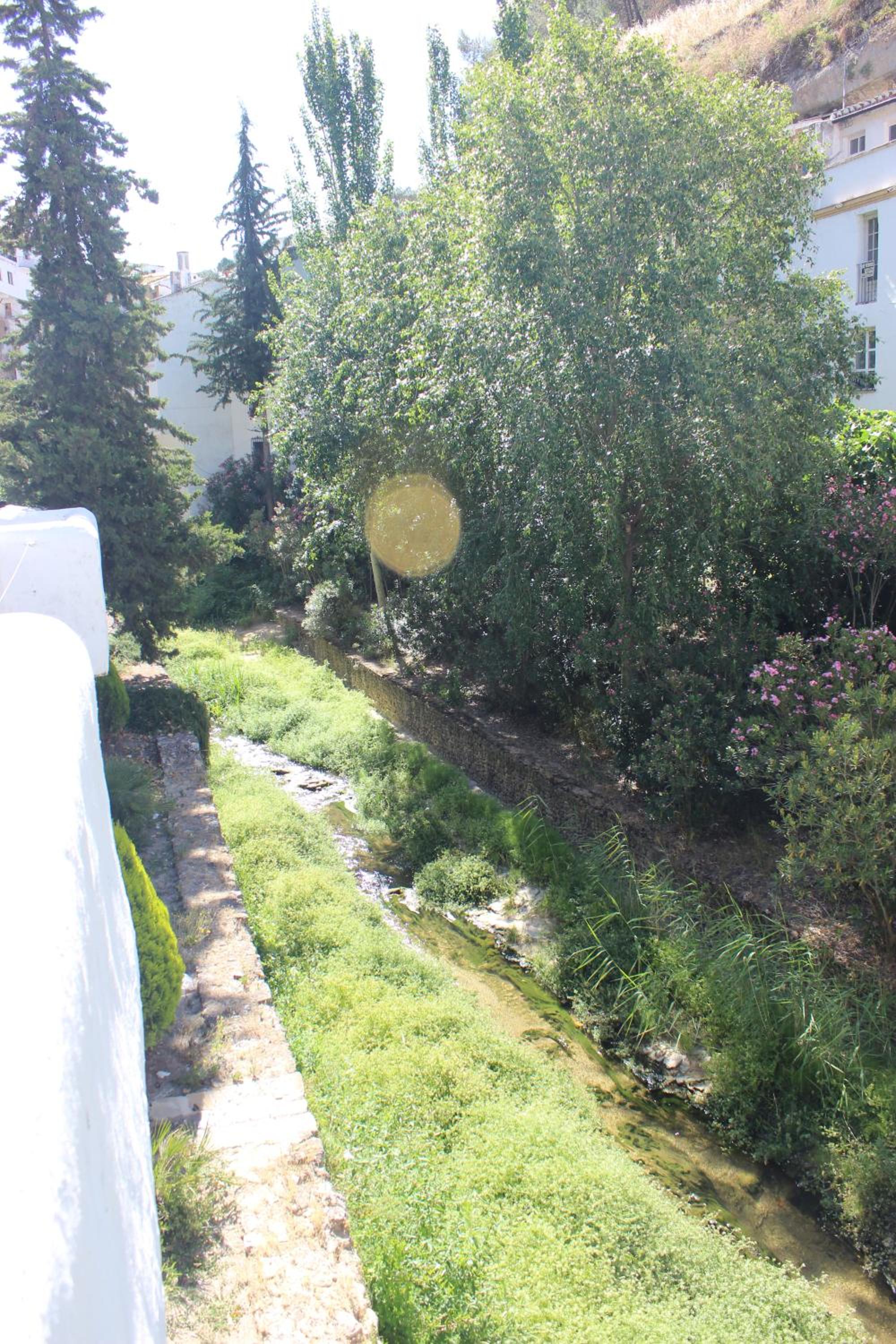 Photo 30