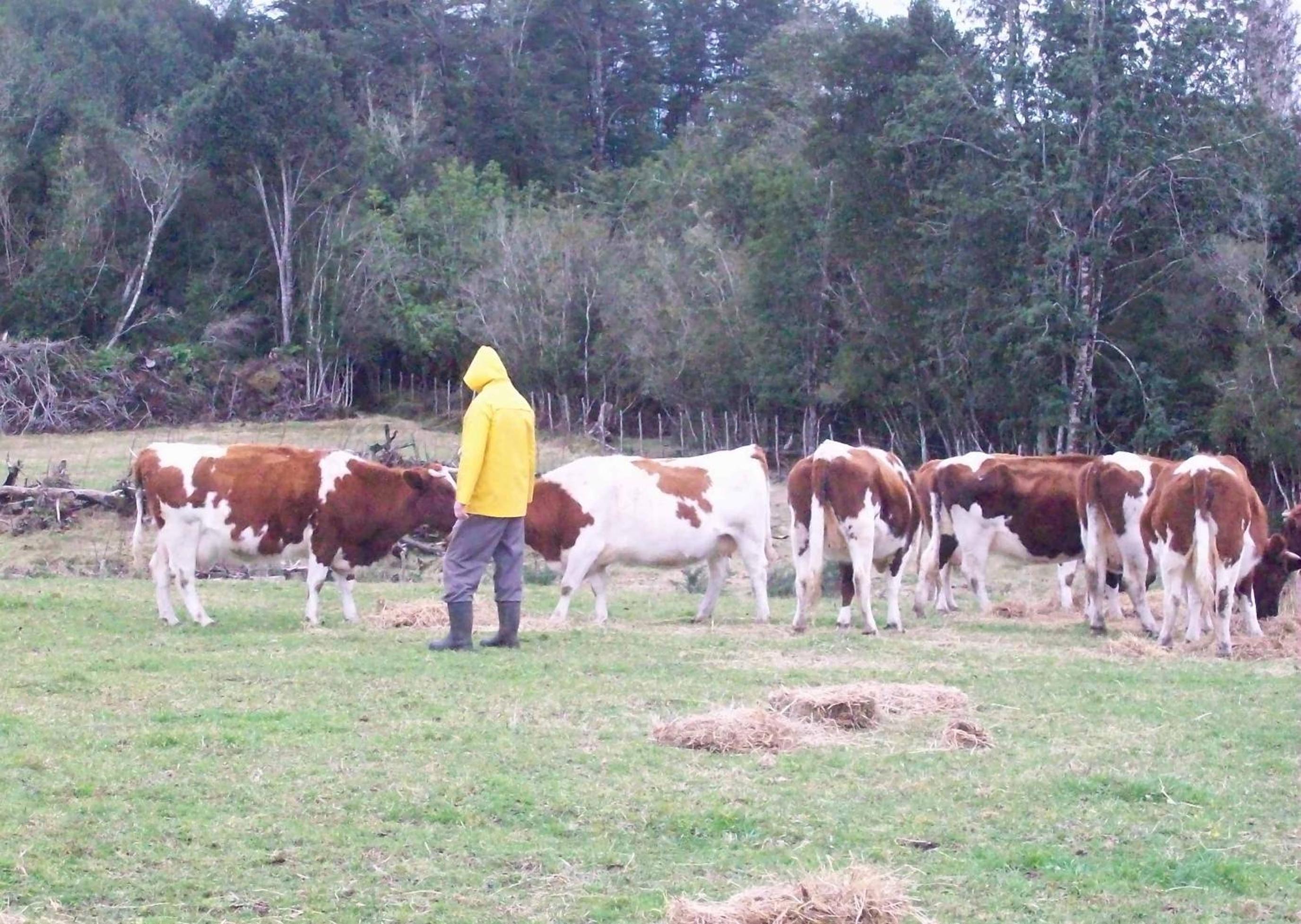 Agroturismo Coñico