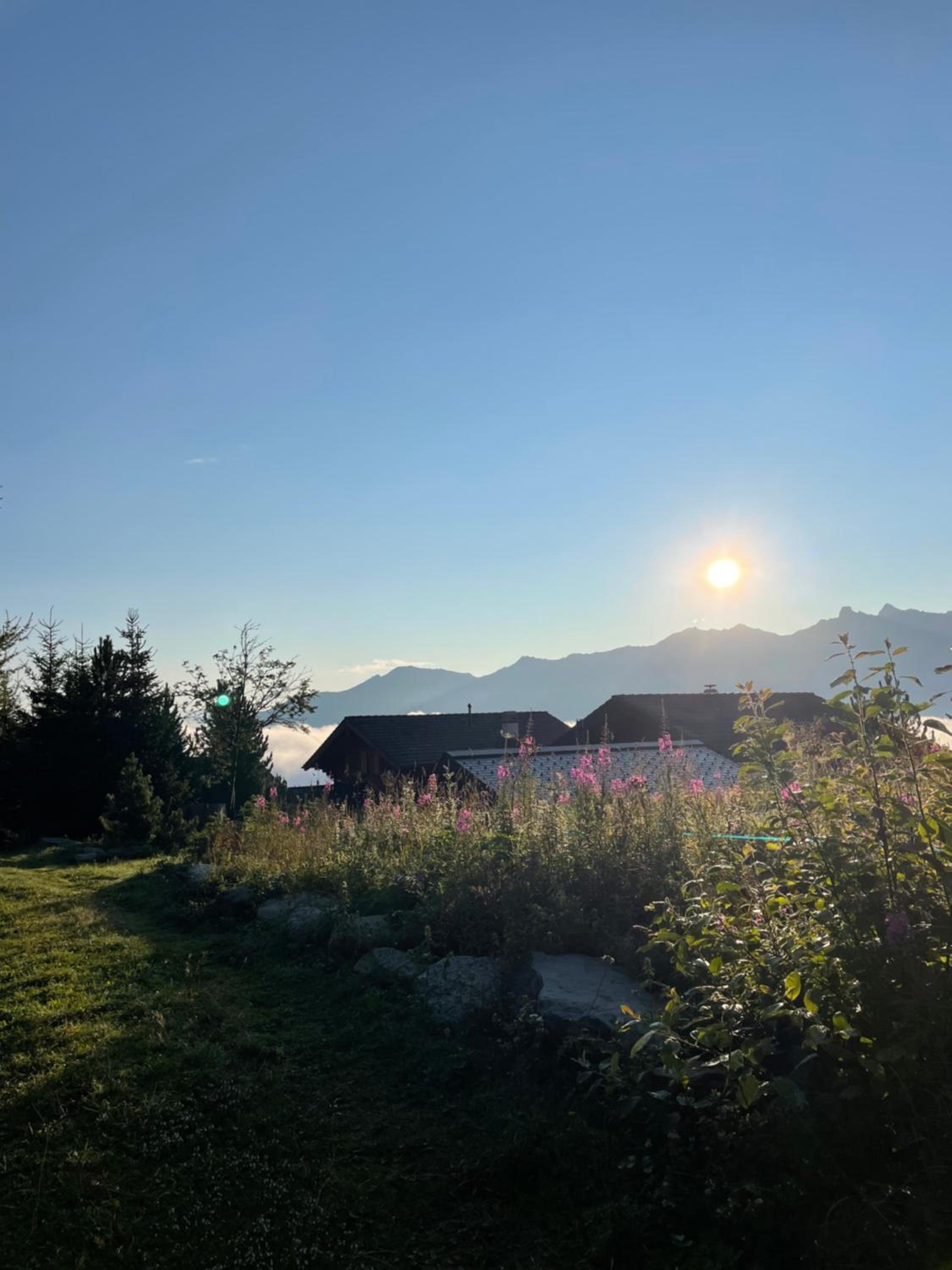 Chalet Michele Alpage