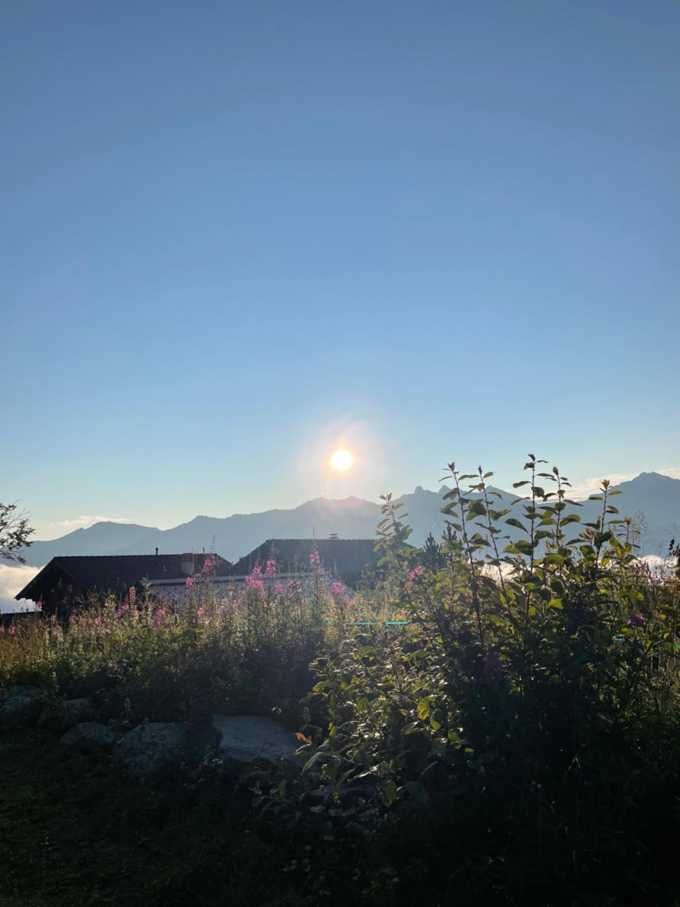Chalet Michele Alpage
