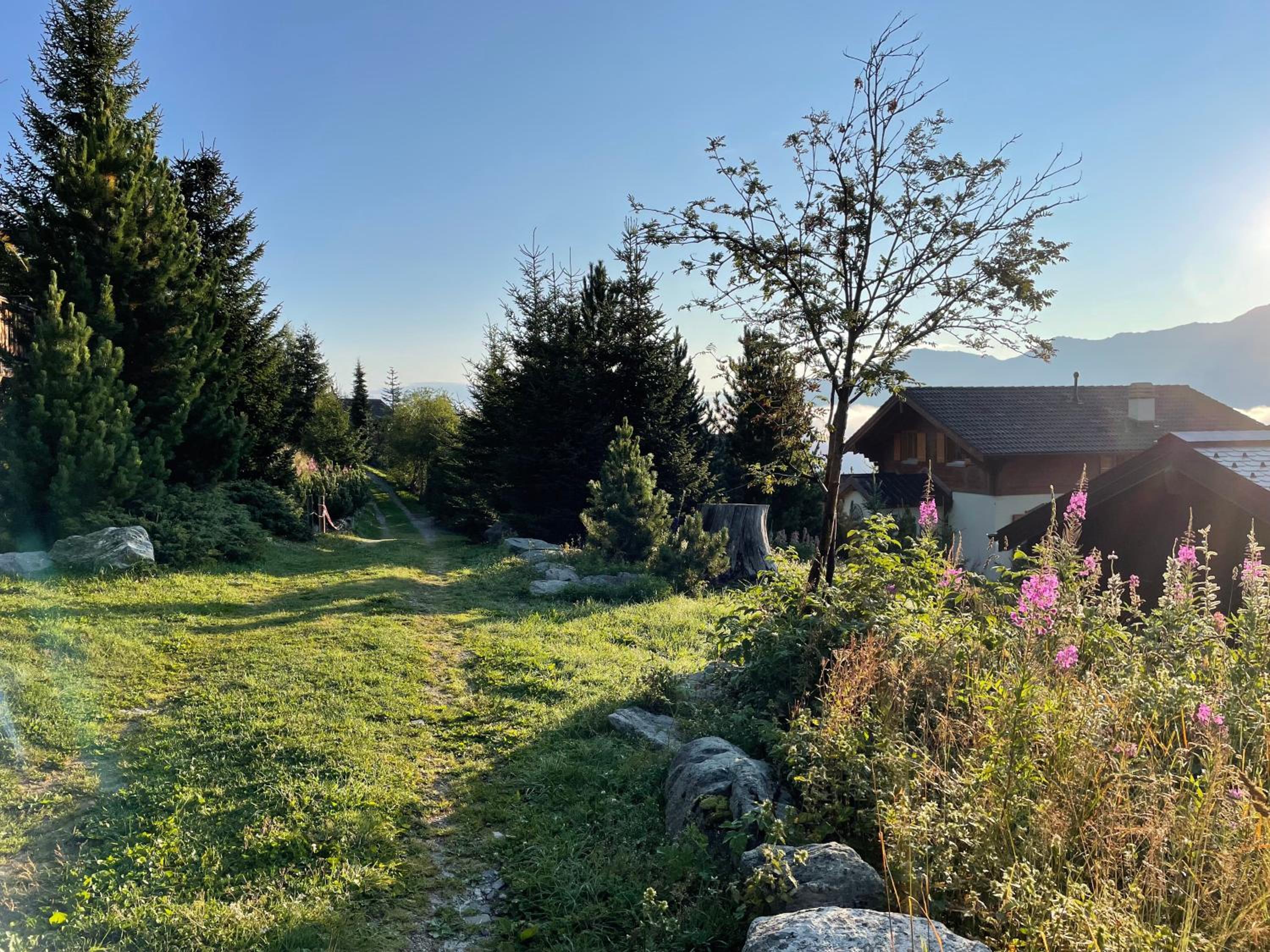 Chalet Michele Alpage