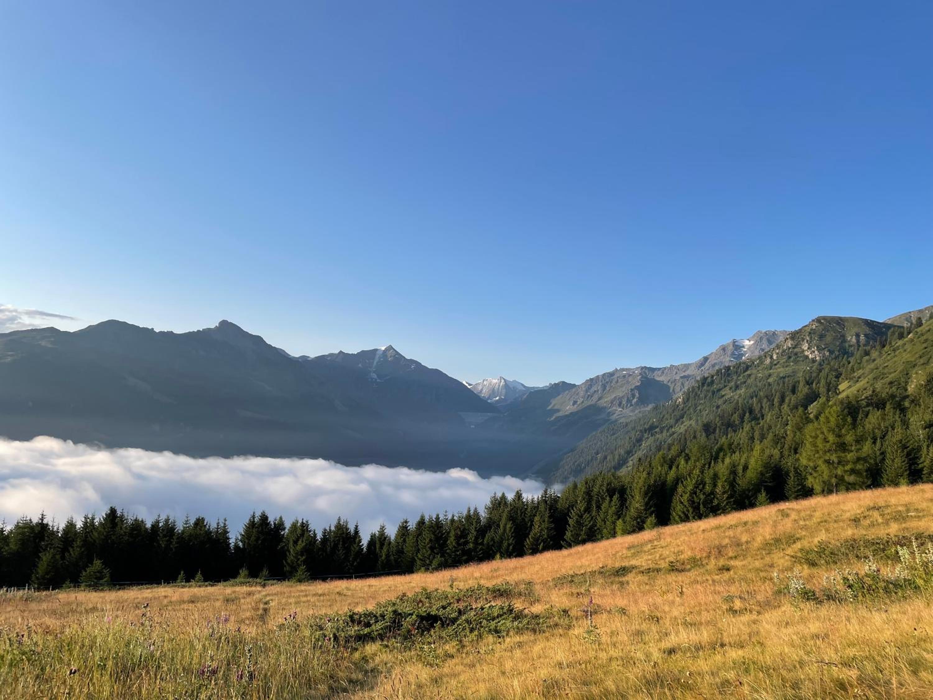 Chalet Michele Alpage