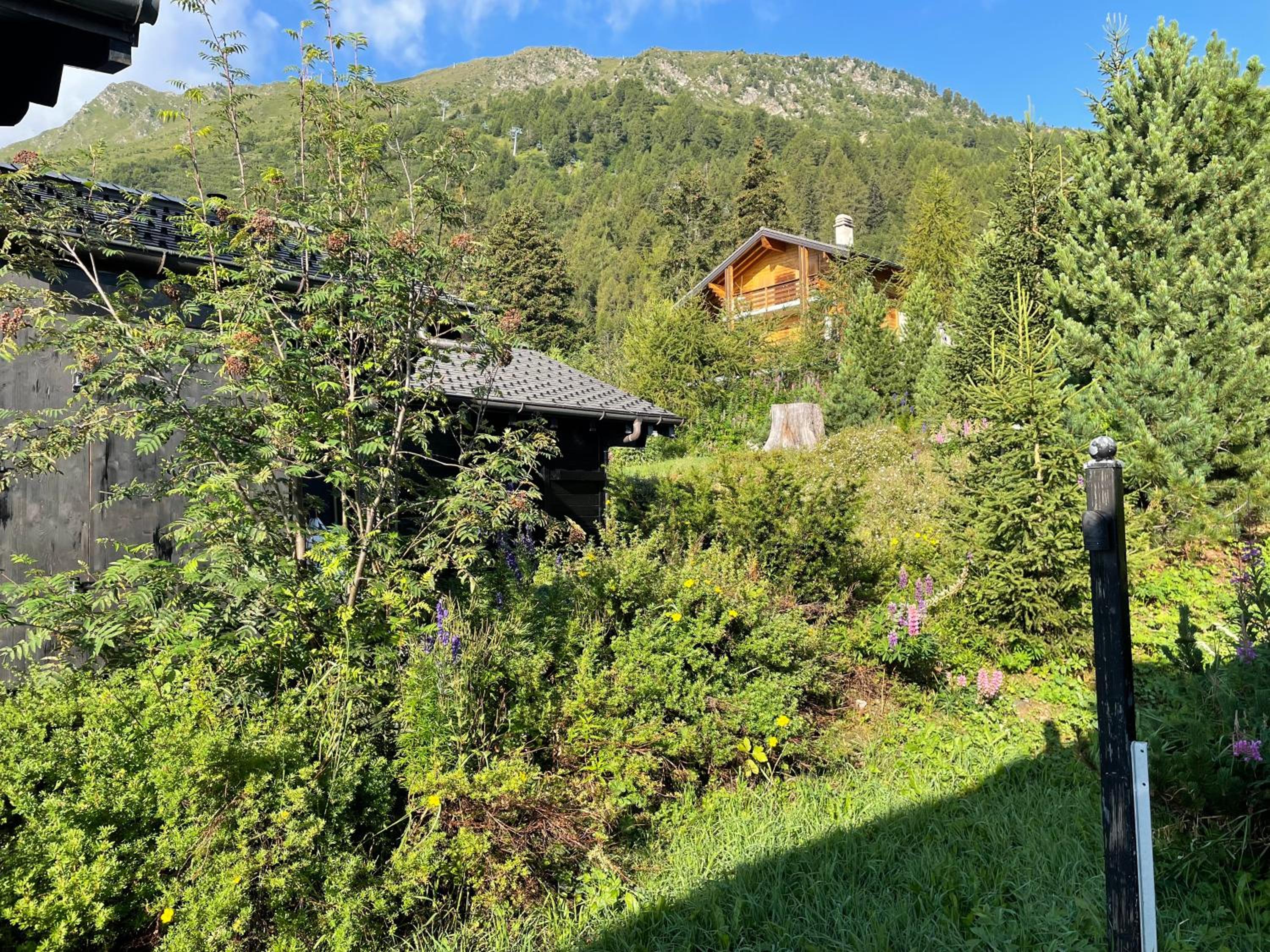 Chalet Michele Alpage