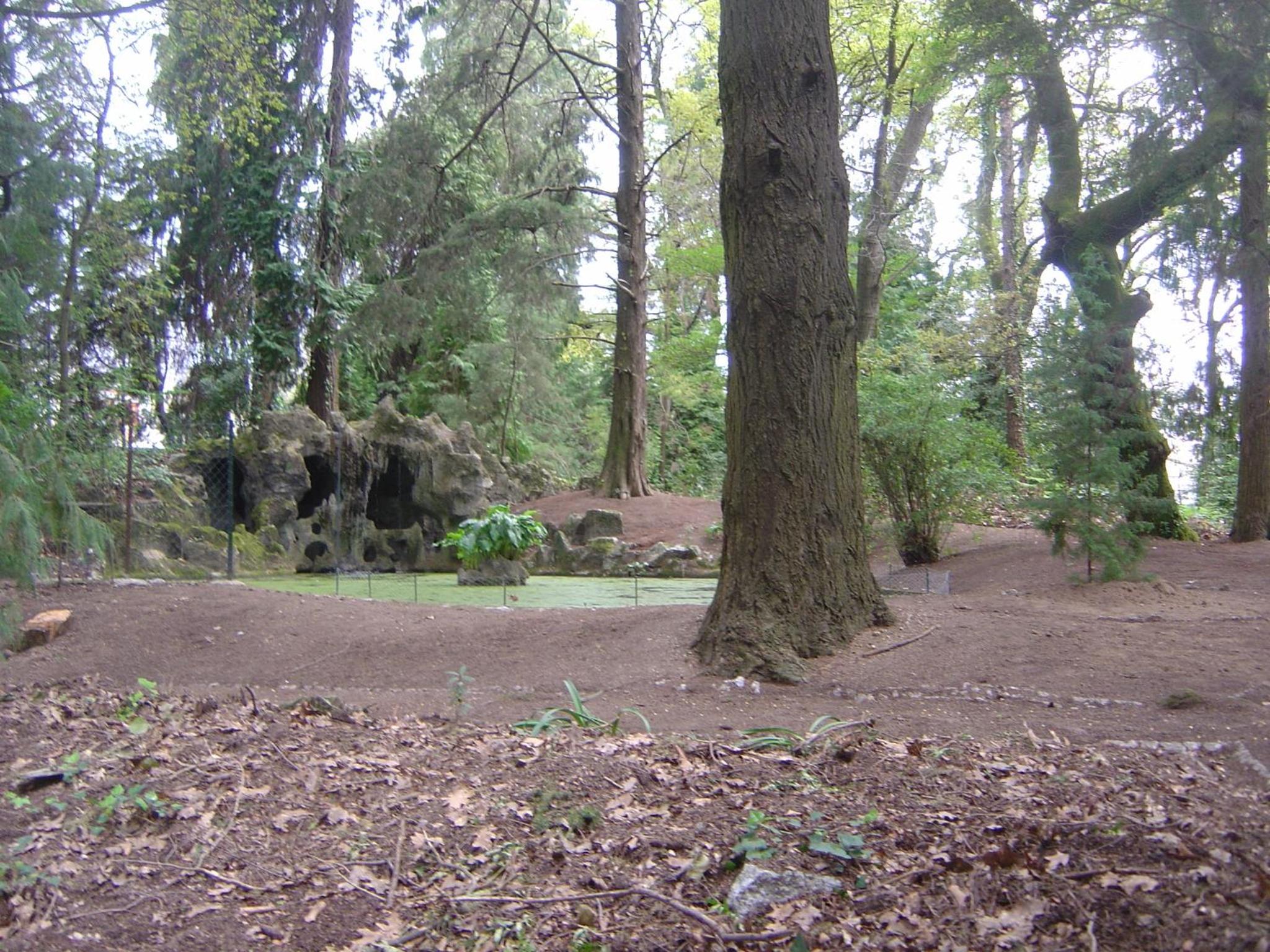 Photo 32