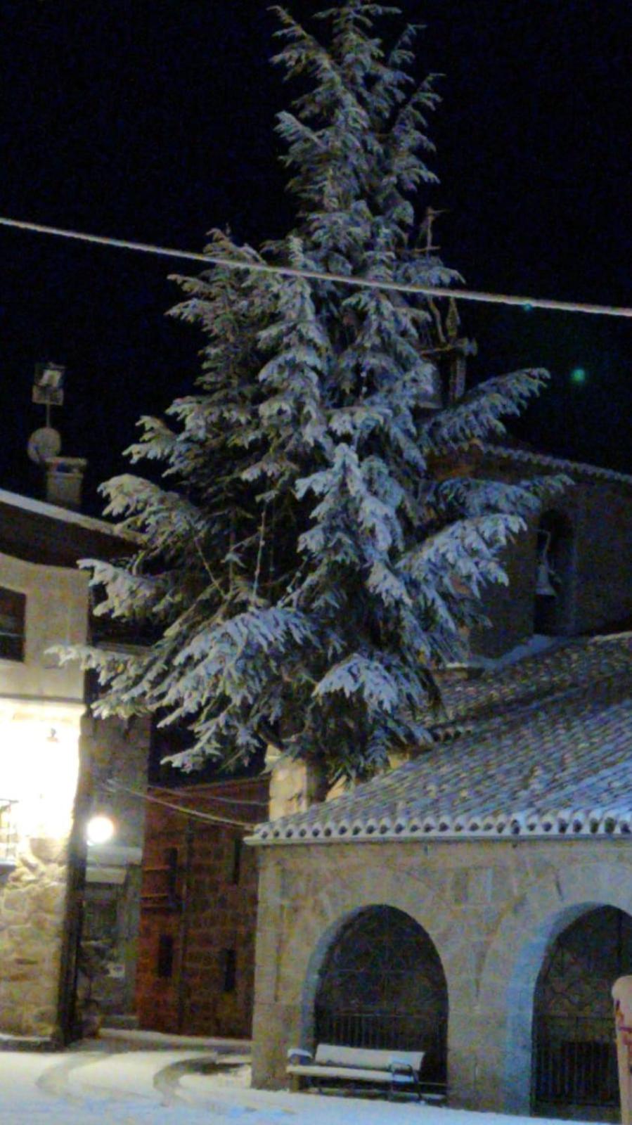 Photo 39
