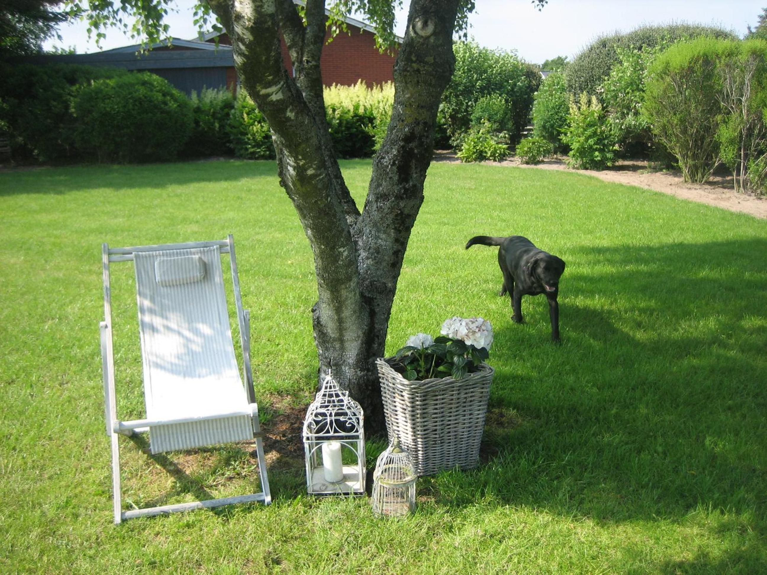Photo 44