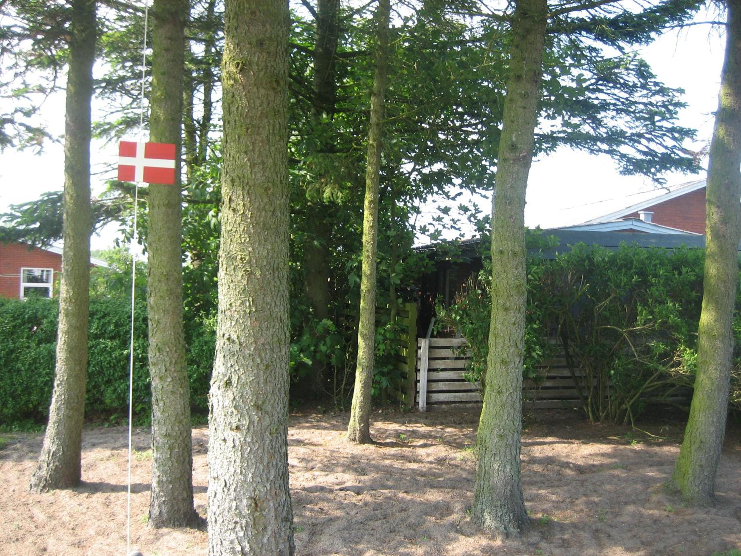 Photo 45