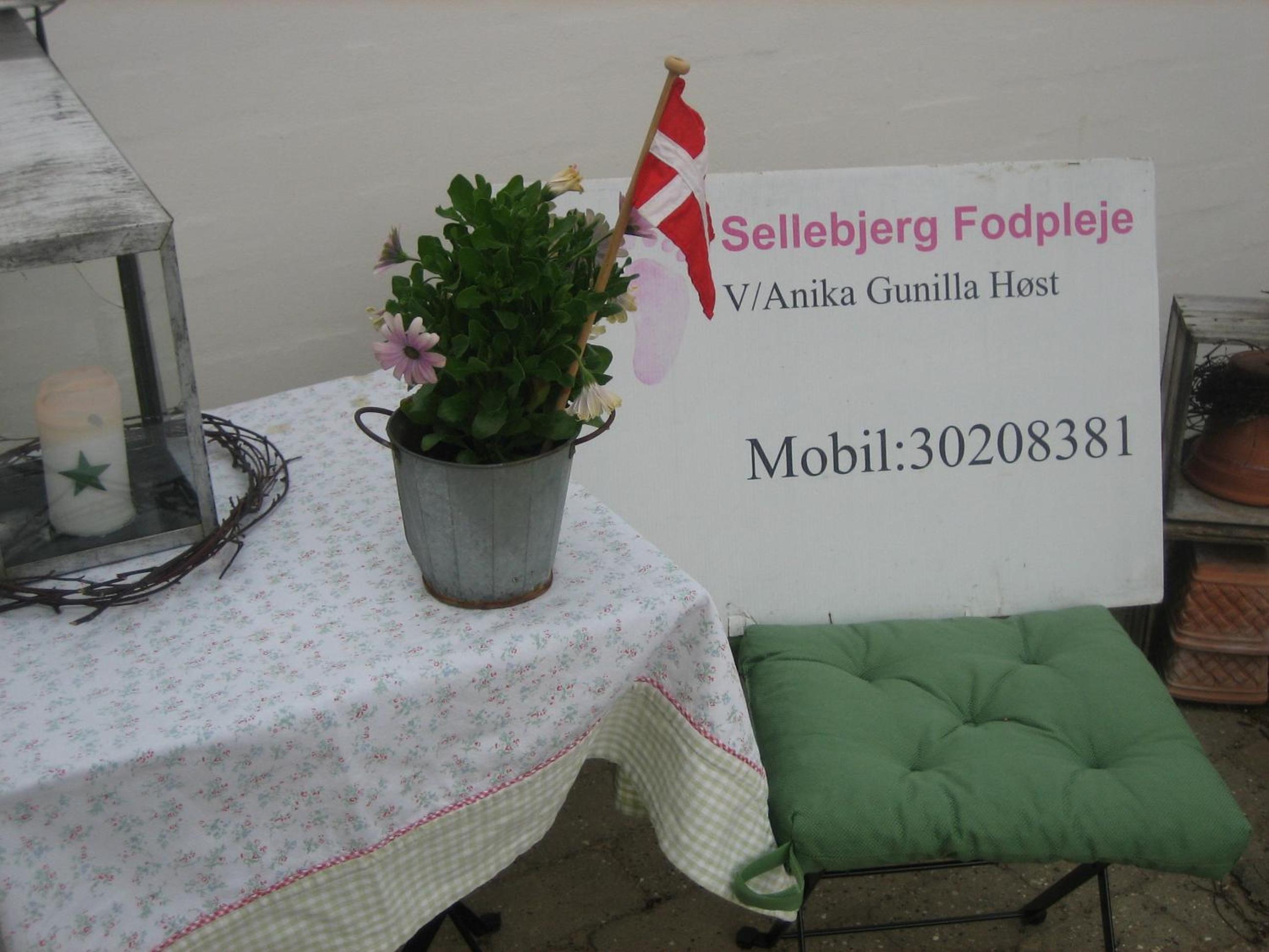 Photo 50