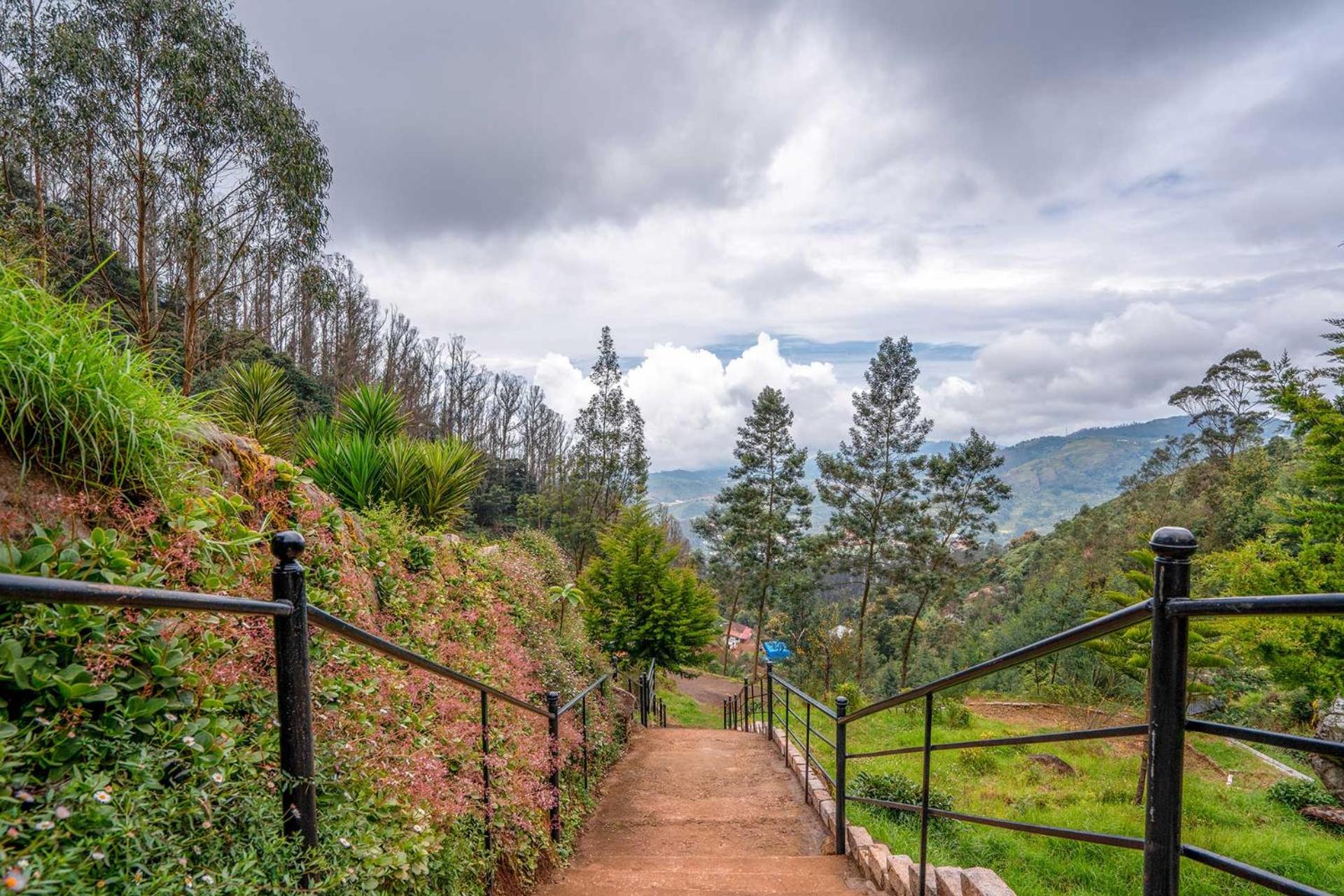 The Berg Ooty Queen of Hills with complimentary Breakfast, photo 17