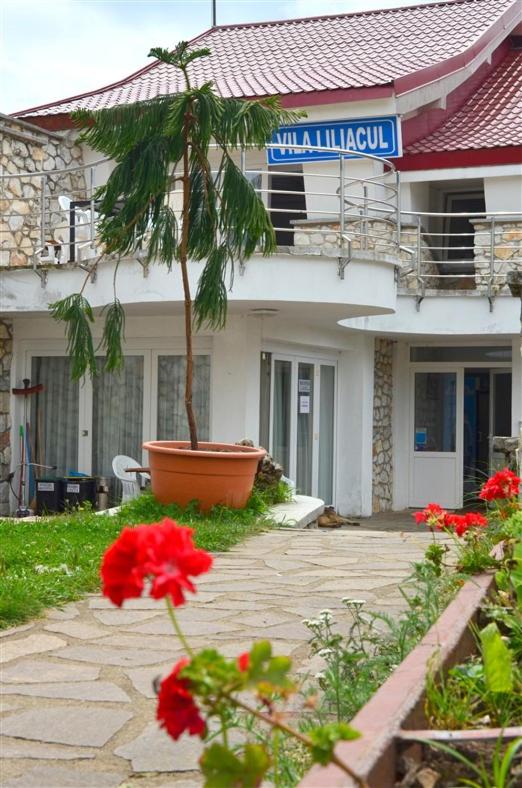 Vila Liliacul
