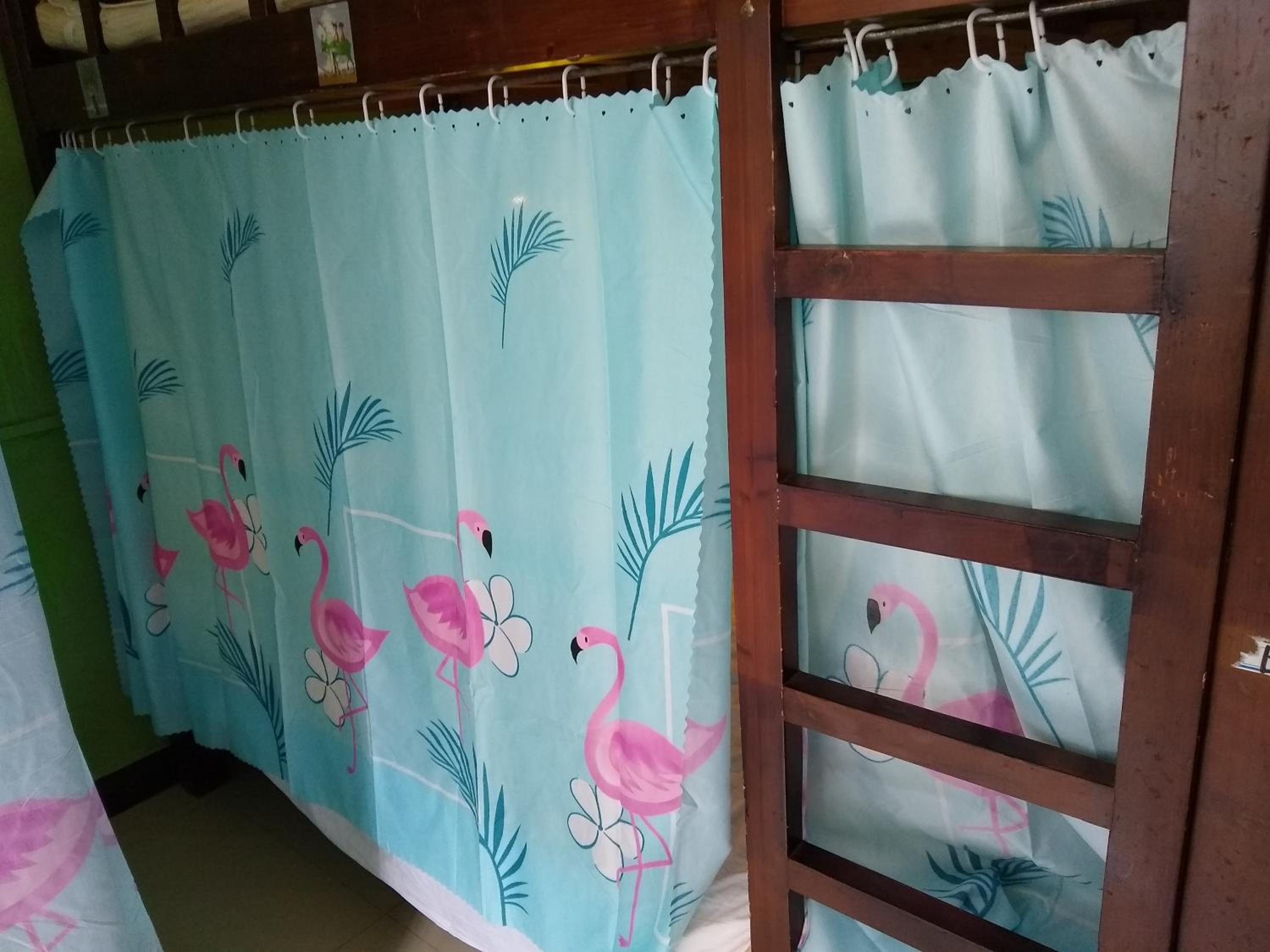 Yangshuo How Flowers Hostel & Party Coliving Coworking Nomads
