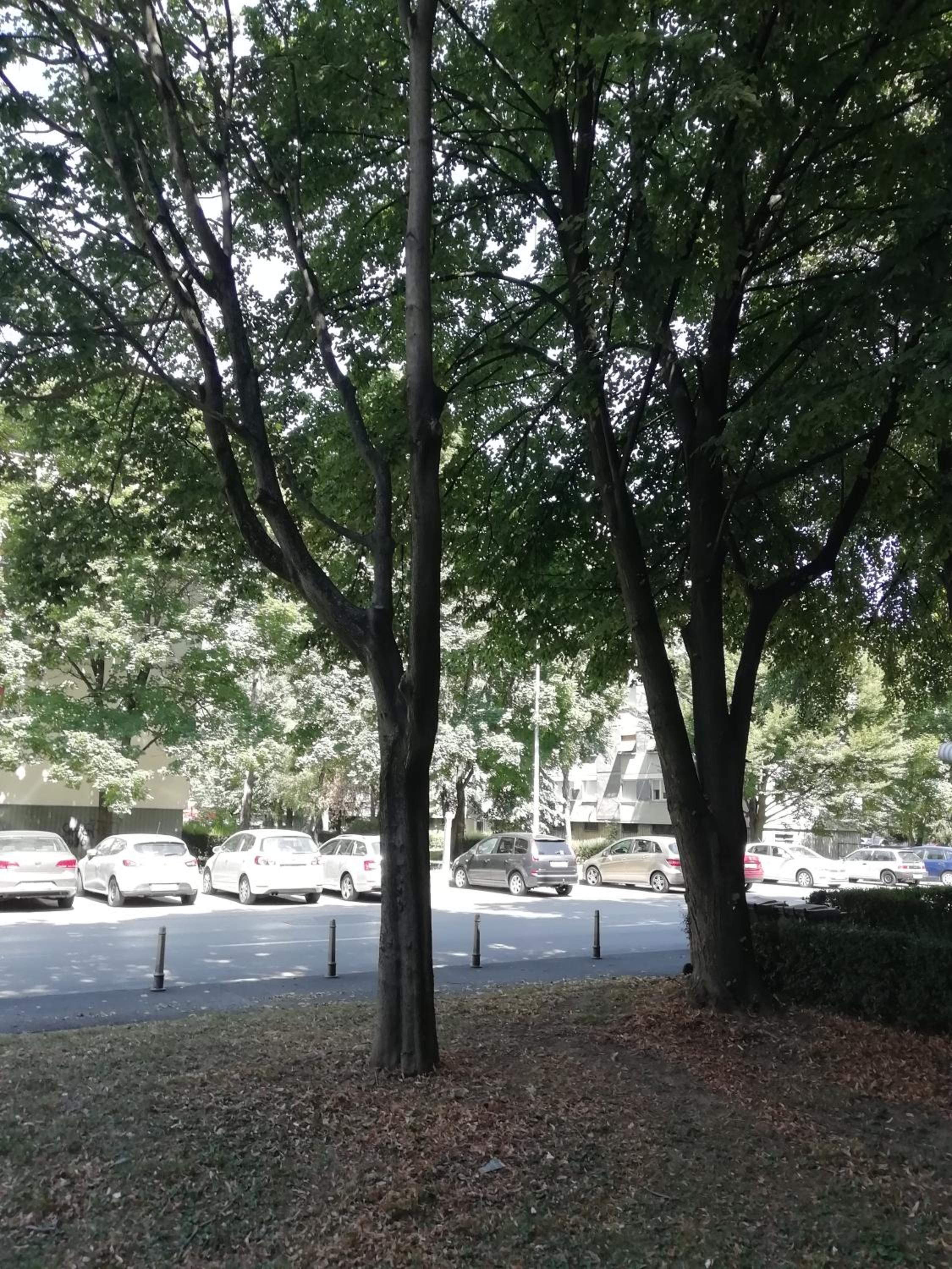 parking